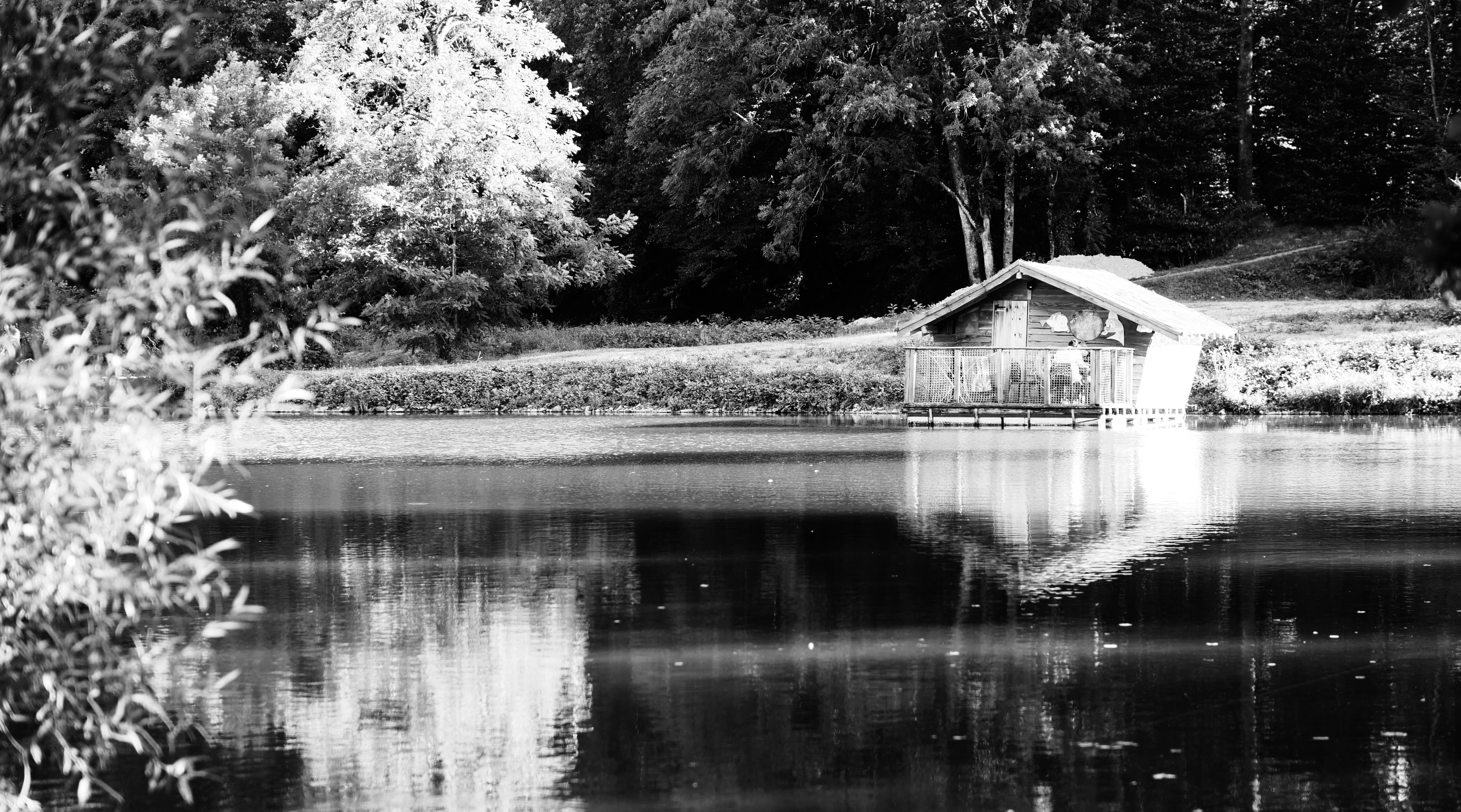 a house on a hill by a lake