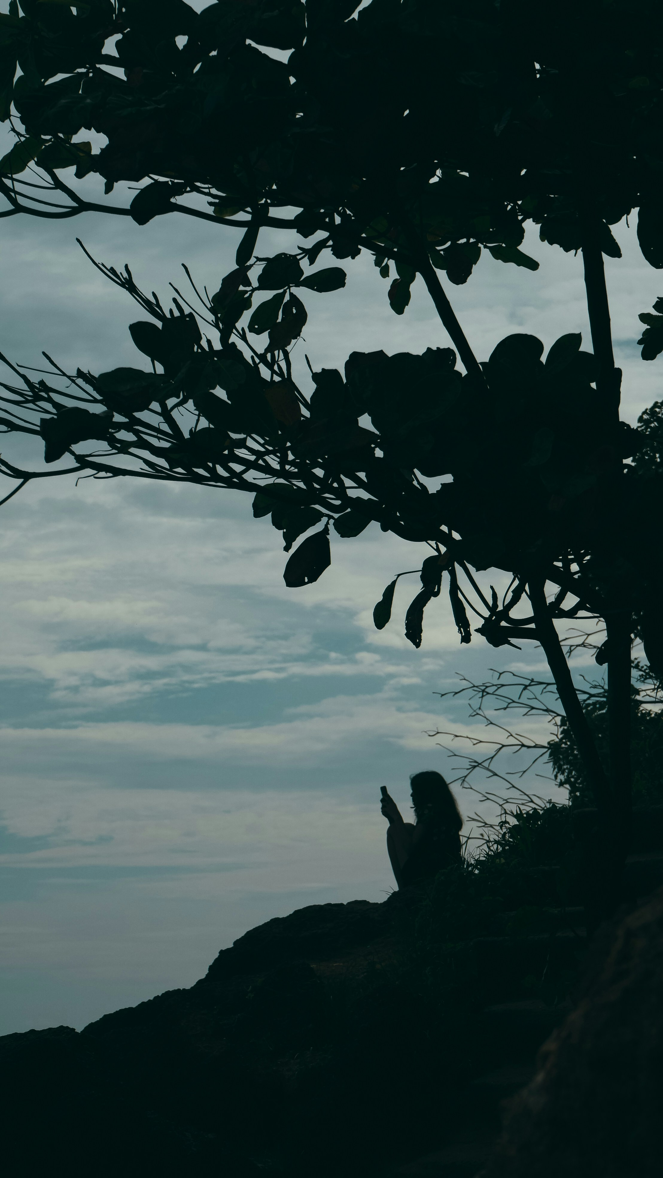 Photo by veecee_photography