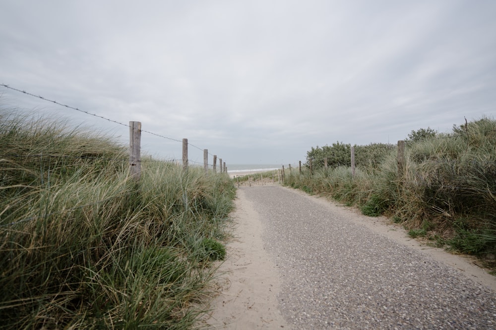 a dirt road with grass on either side of it