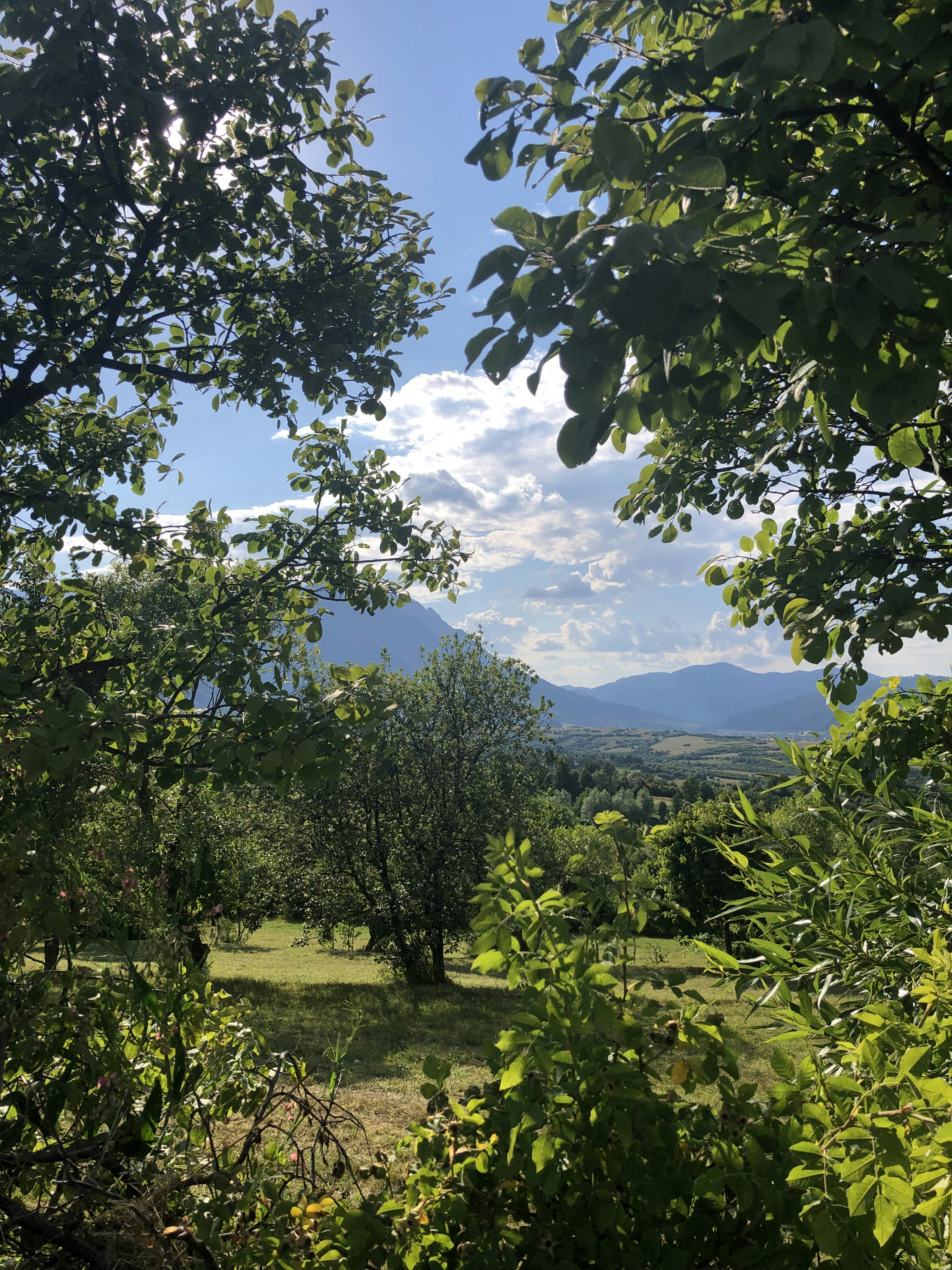 Photo by _earthprix_