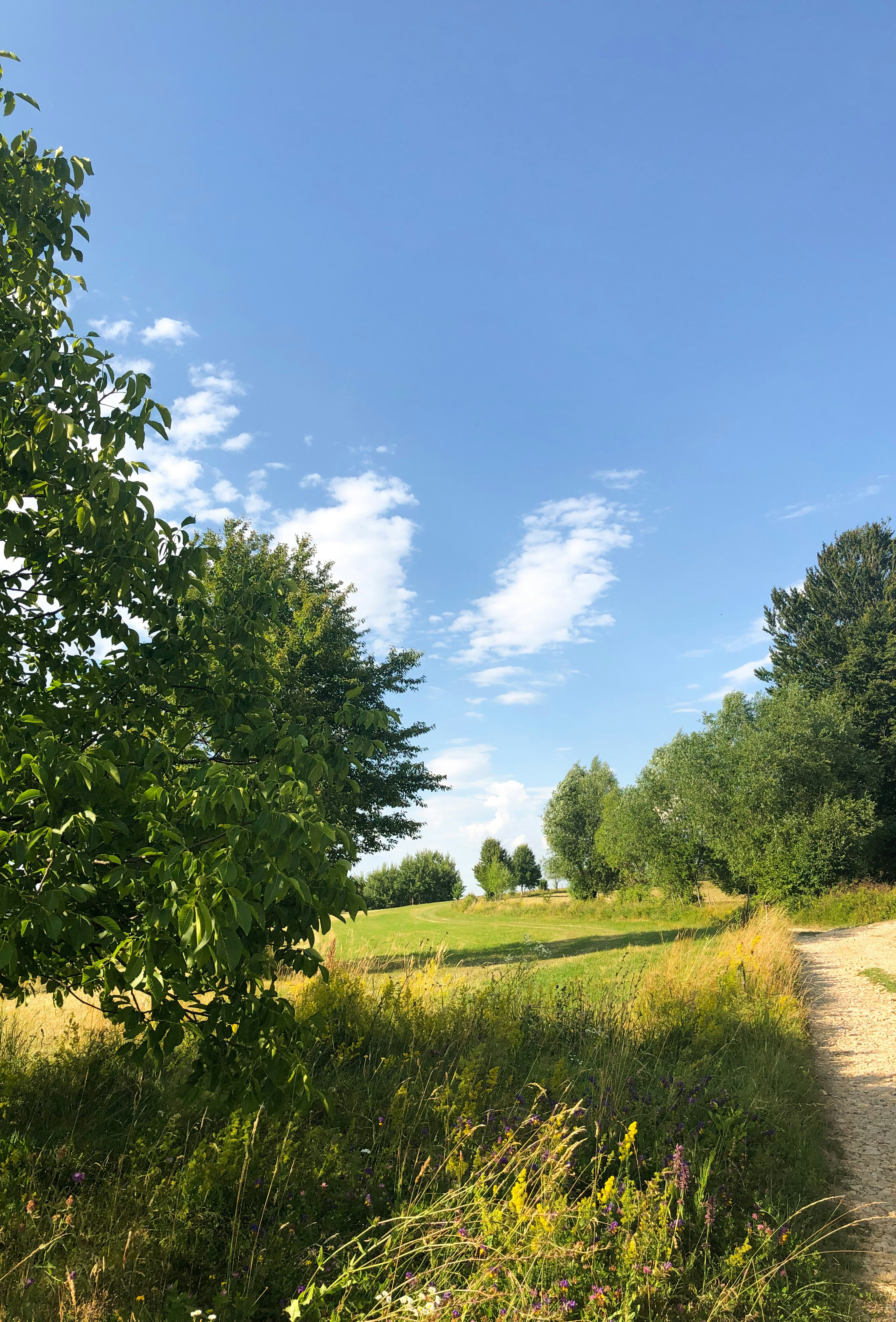 Photo by _earthprix_