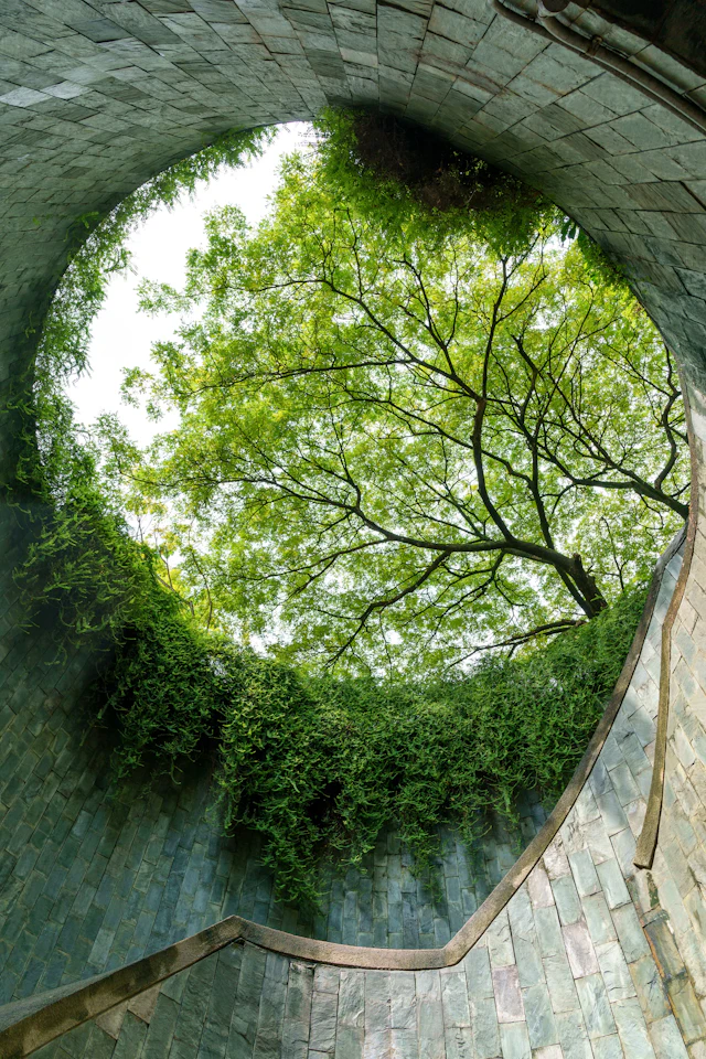Looking up through Fort Canning Park's circular stone stairwell opening framing a tree canopy above.