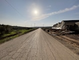 A long straight road stretches into the distance under a bright sun. On the right side, several greenhouse structures with slanted roofs line the road. On the left, there is lush green vegetation and trees. The sky is clear with a few clouds, and power lines run parallel to the road.