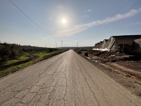 A long straight road stretches into the distance under a bright sun. On the right side, several greenhouse structures with slanted roofs line the road. On the left, there is lush green vegetation and trees. The sky is clear with a few clouds, and power lines run parallel to the road.
