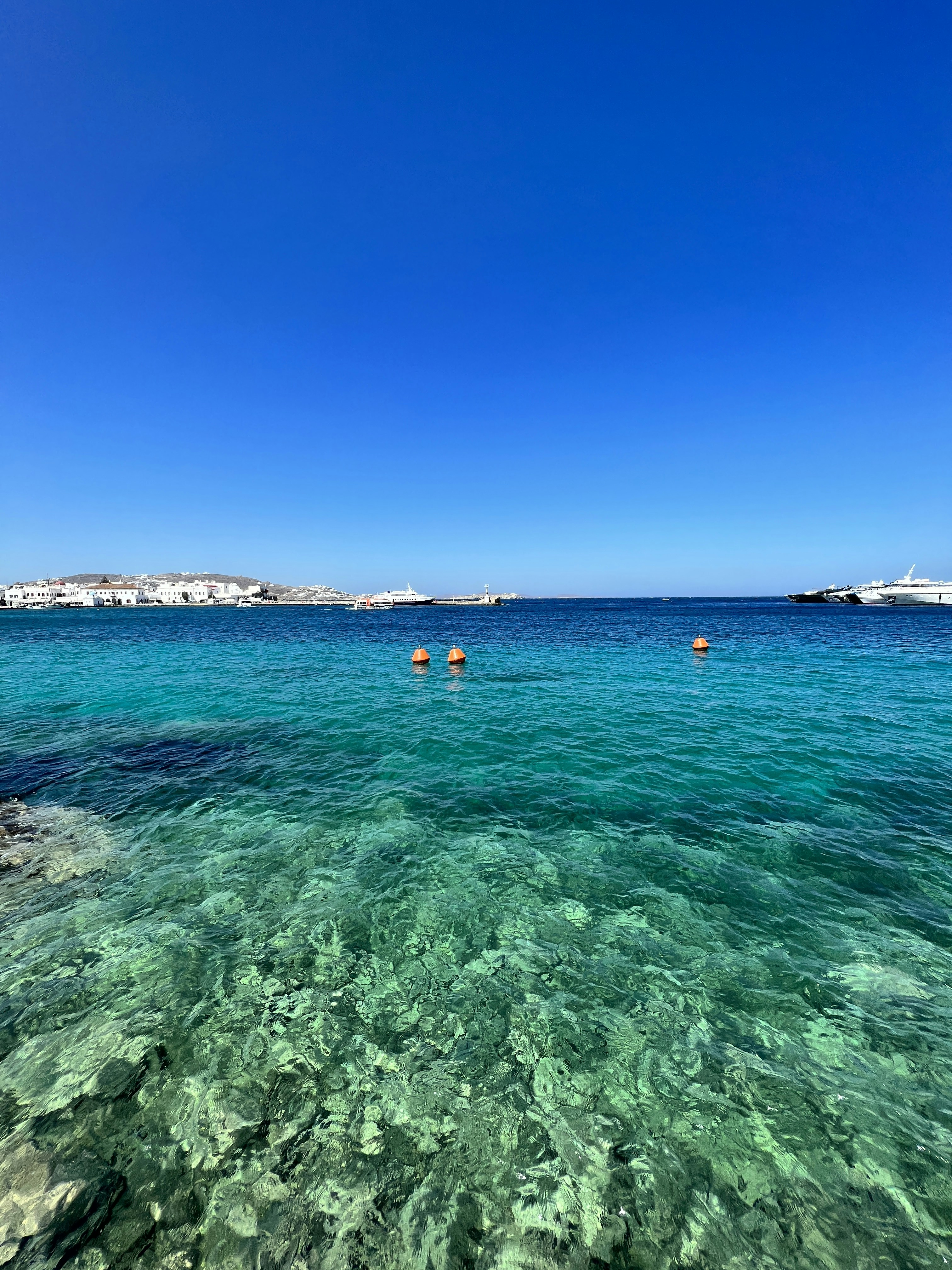 Photo by agnerhochuli