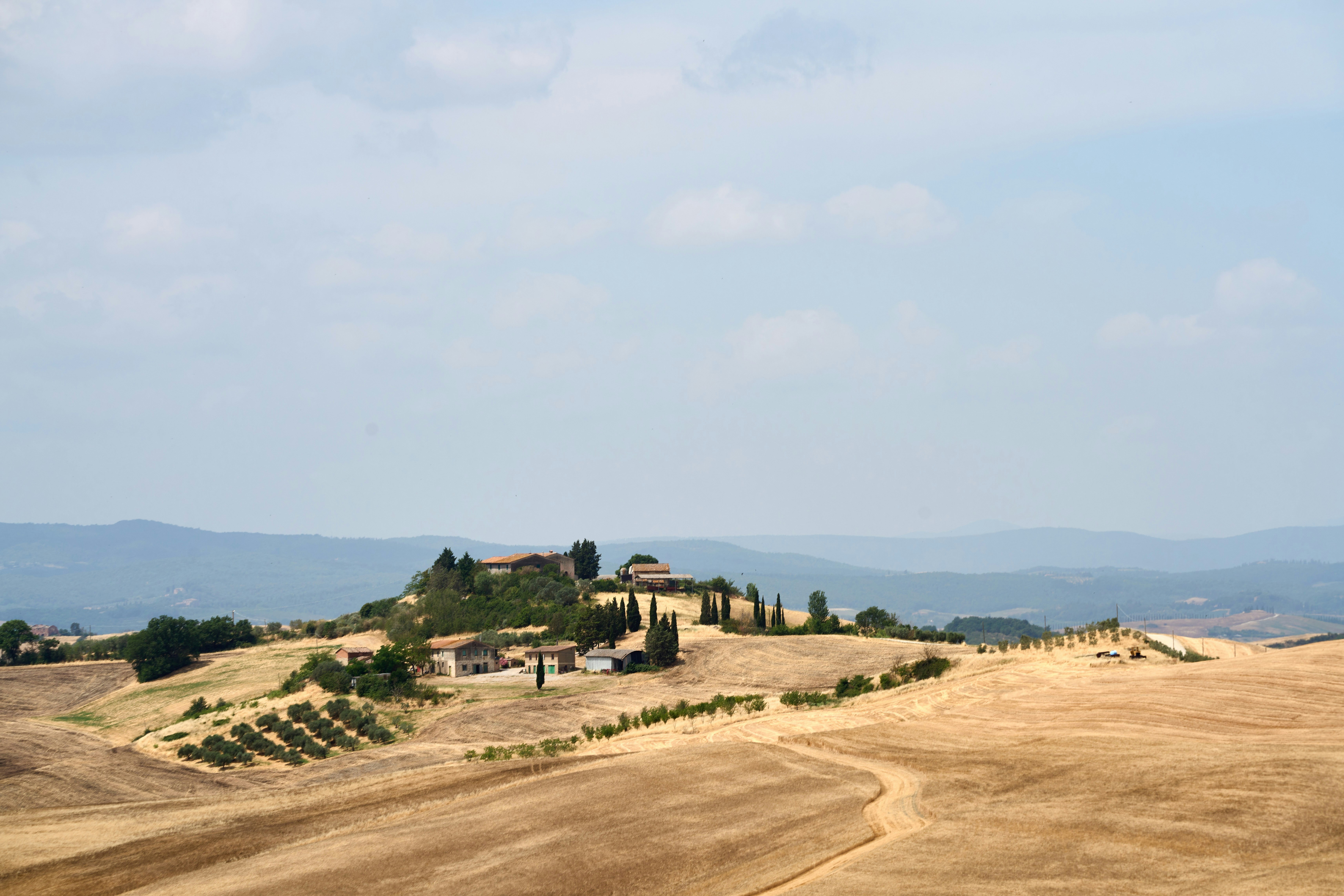 Photo by wolfgang_hasselmann