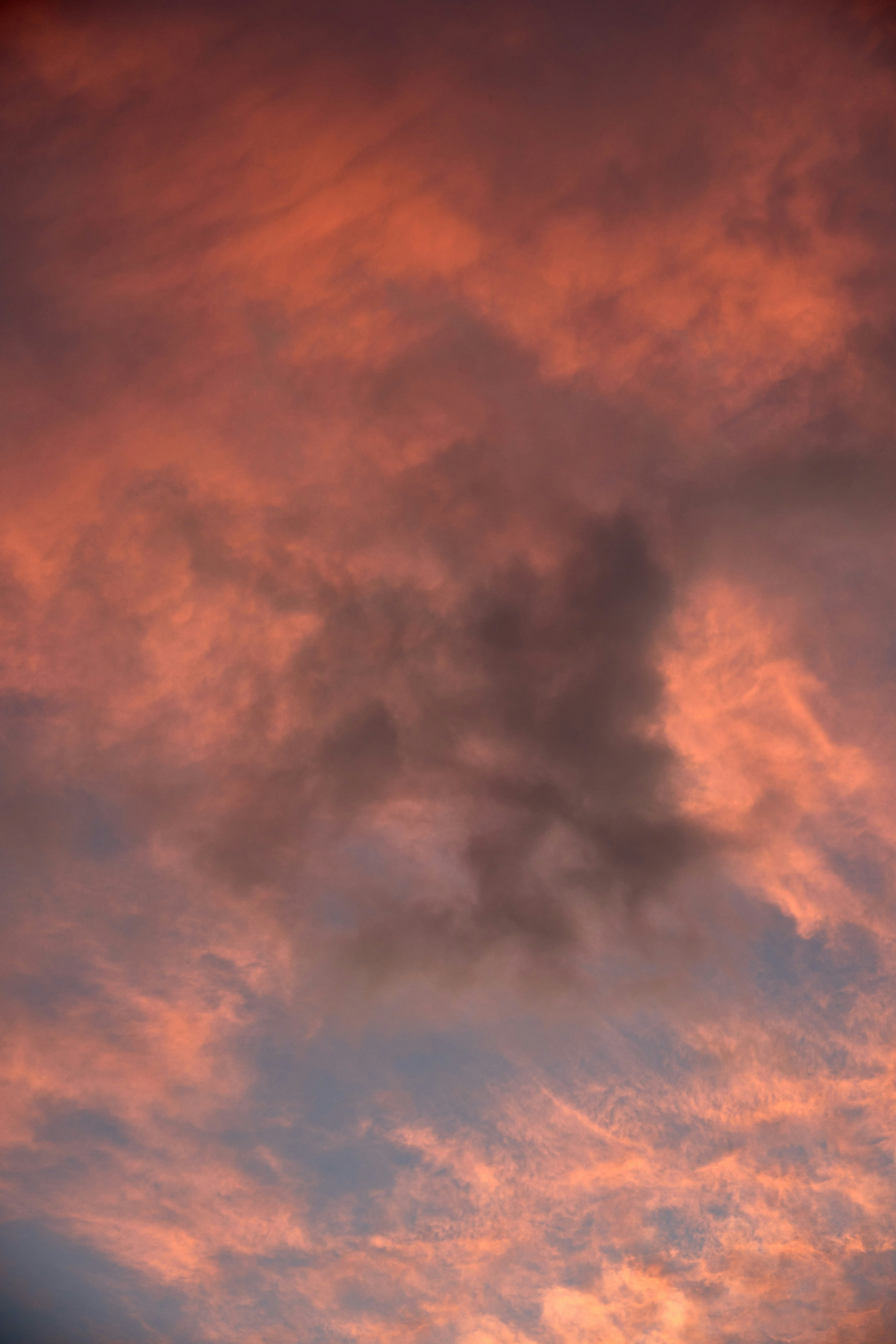 Photo by wolfgang_hasselmann