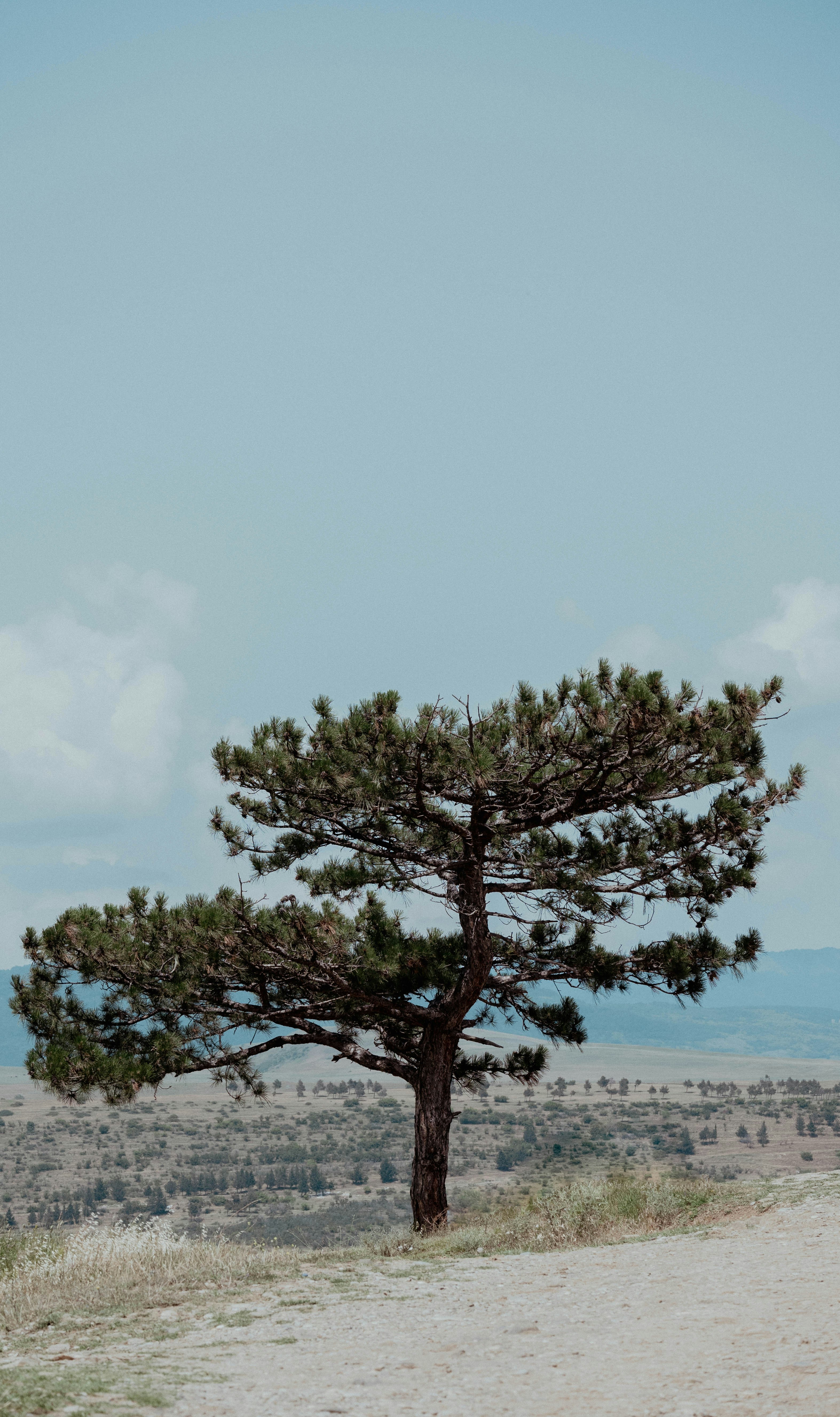 Photo by akkartem
