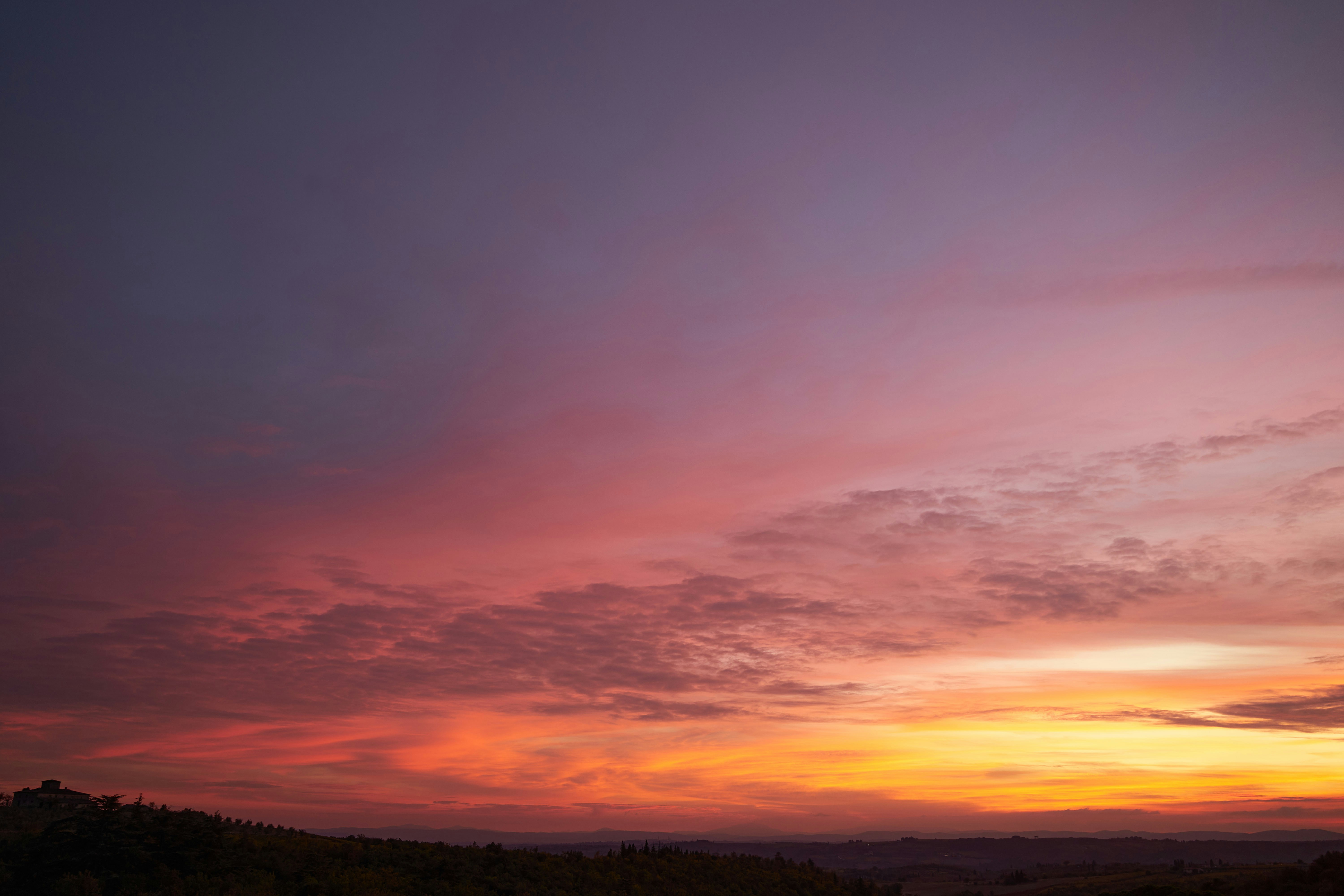 Photo by wolfgang_hasselmann