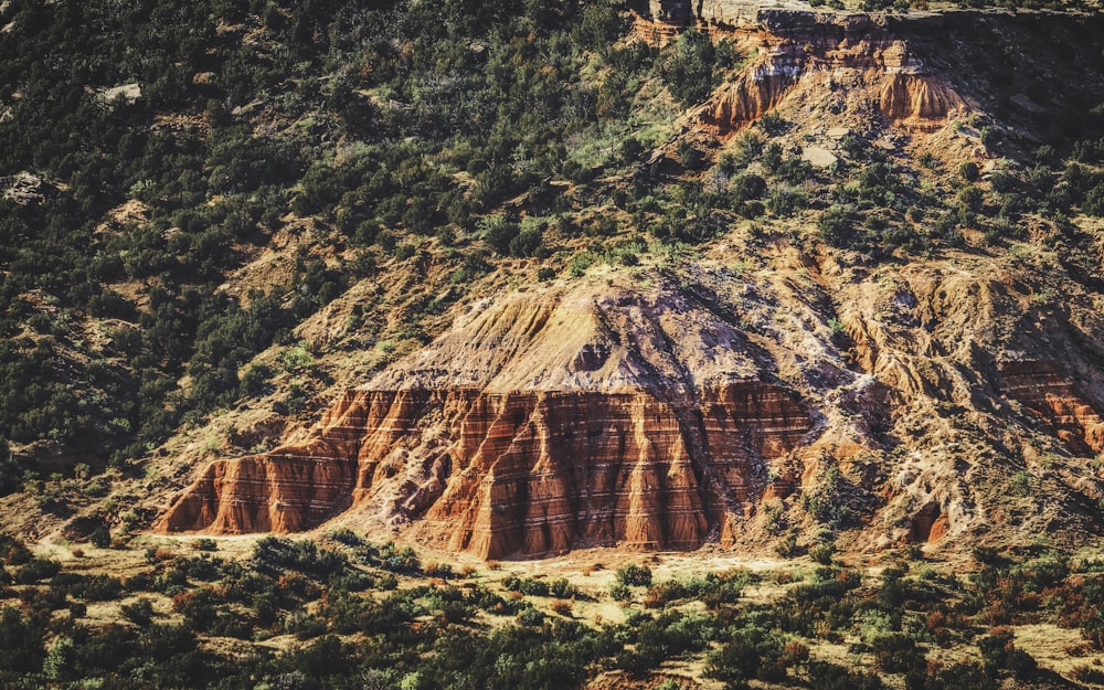 a large rock cliff