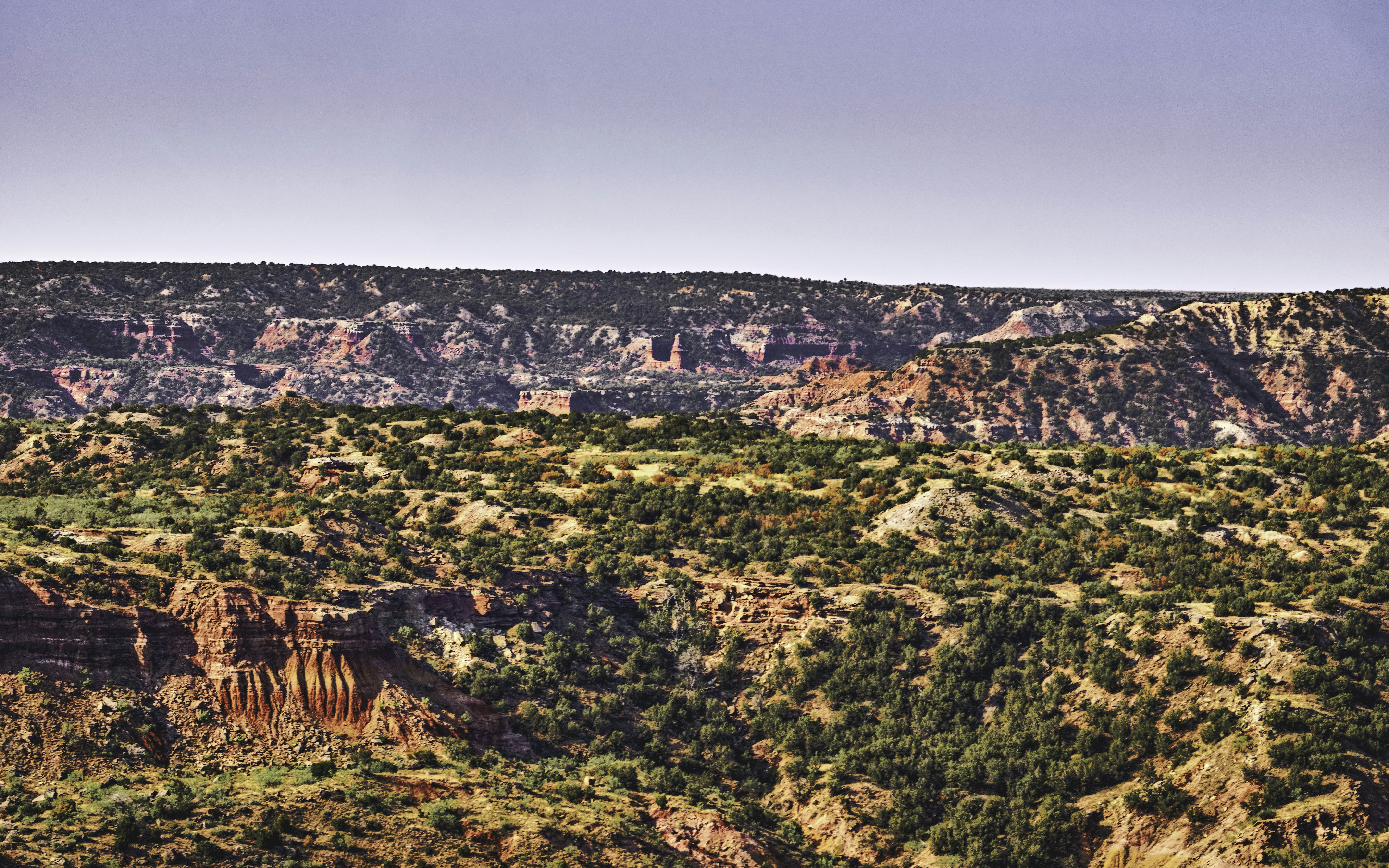 a landscape with trees and hills