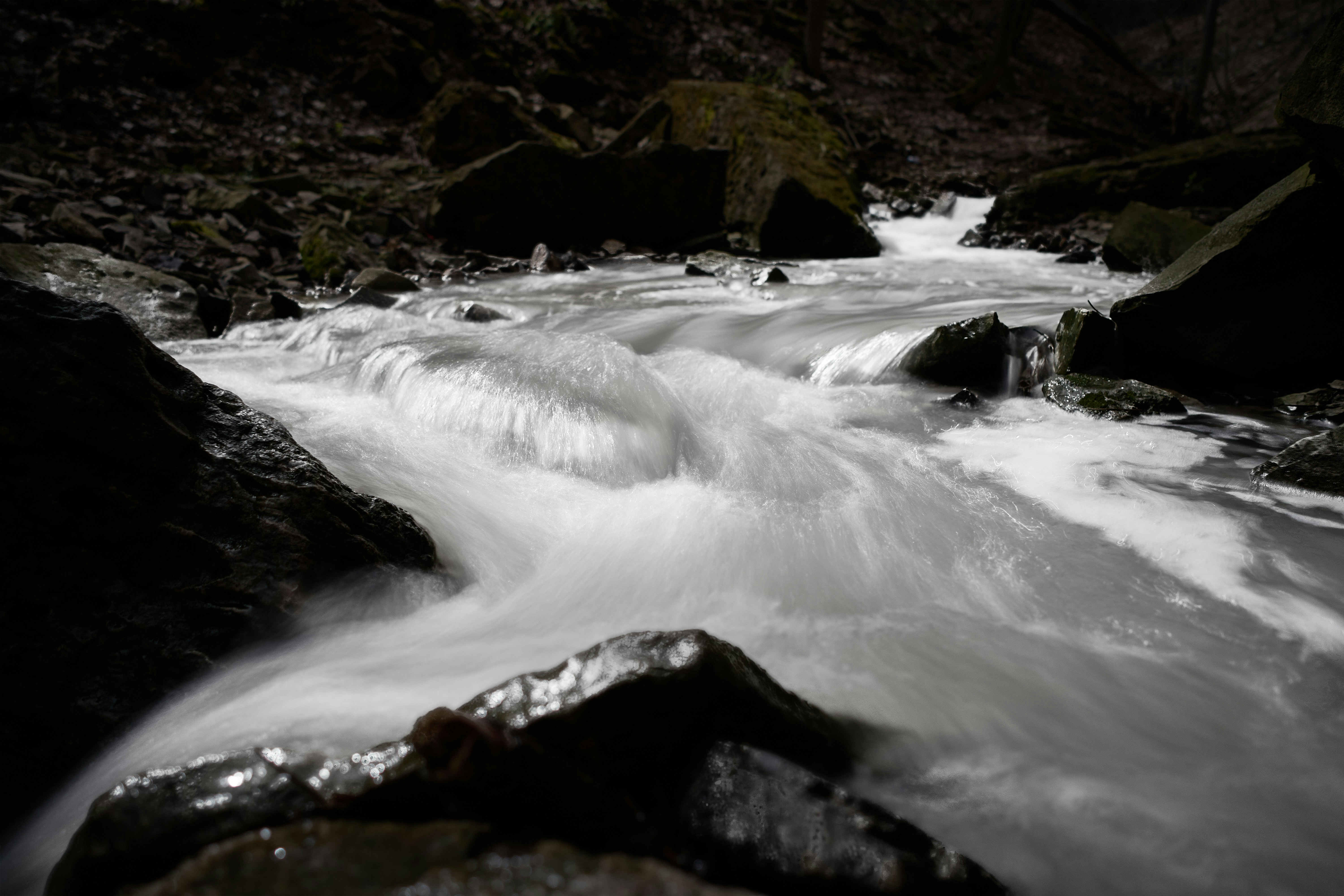 Photo by wolfgang_hasselmann