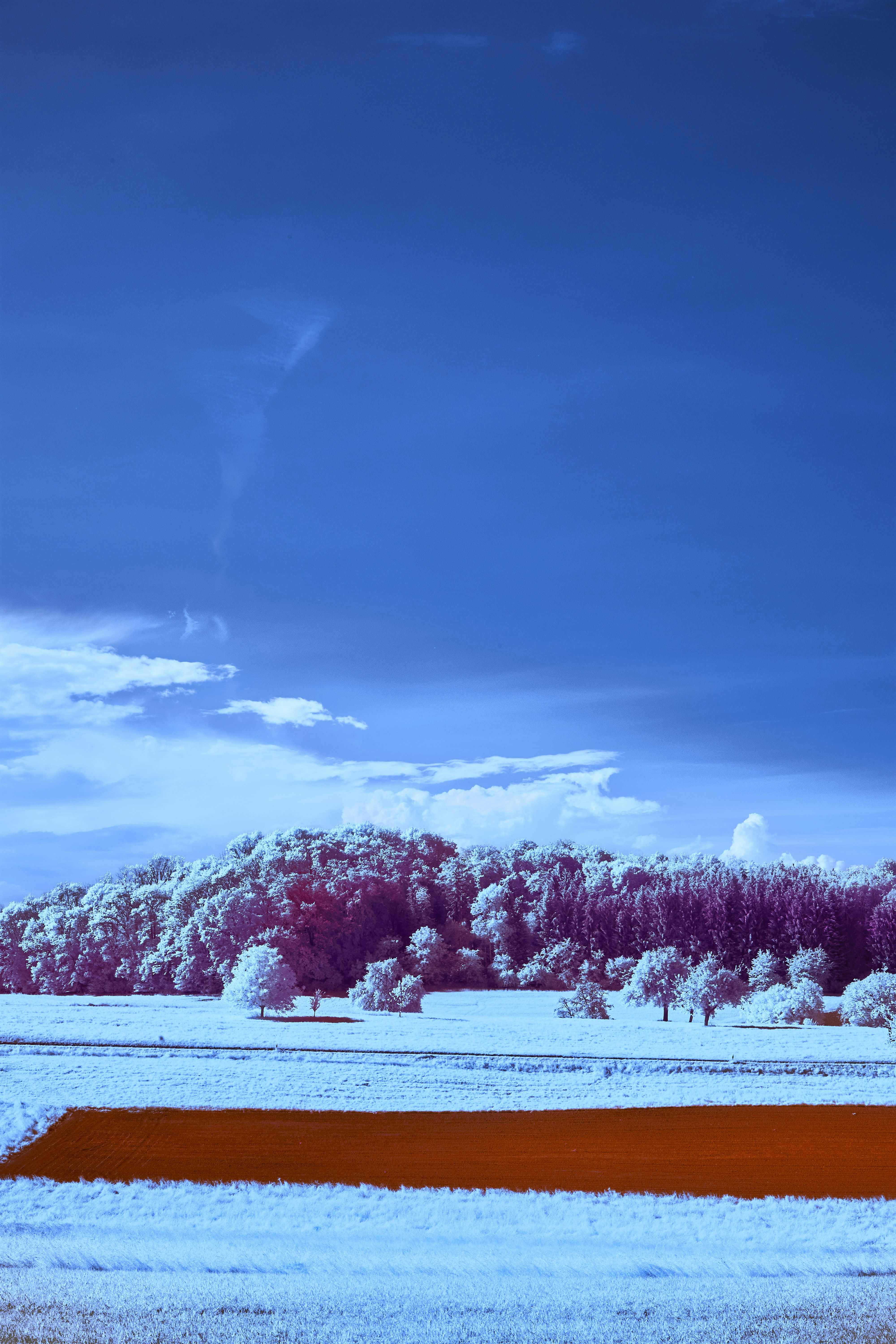 Photo by wolfgang_hasselmann