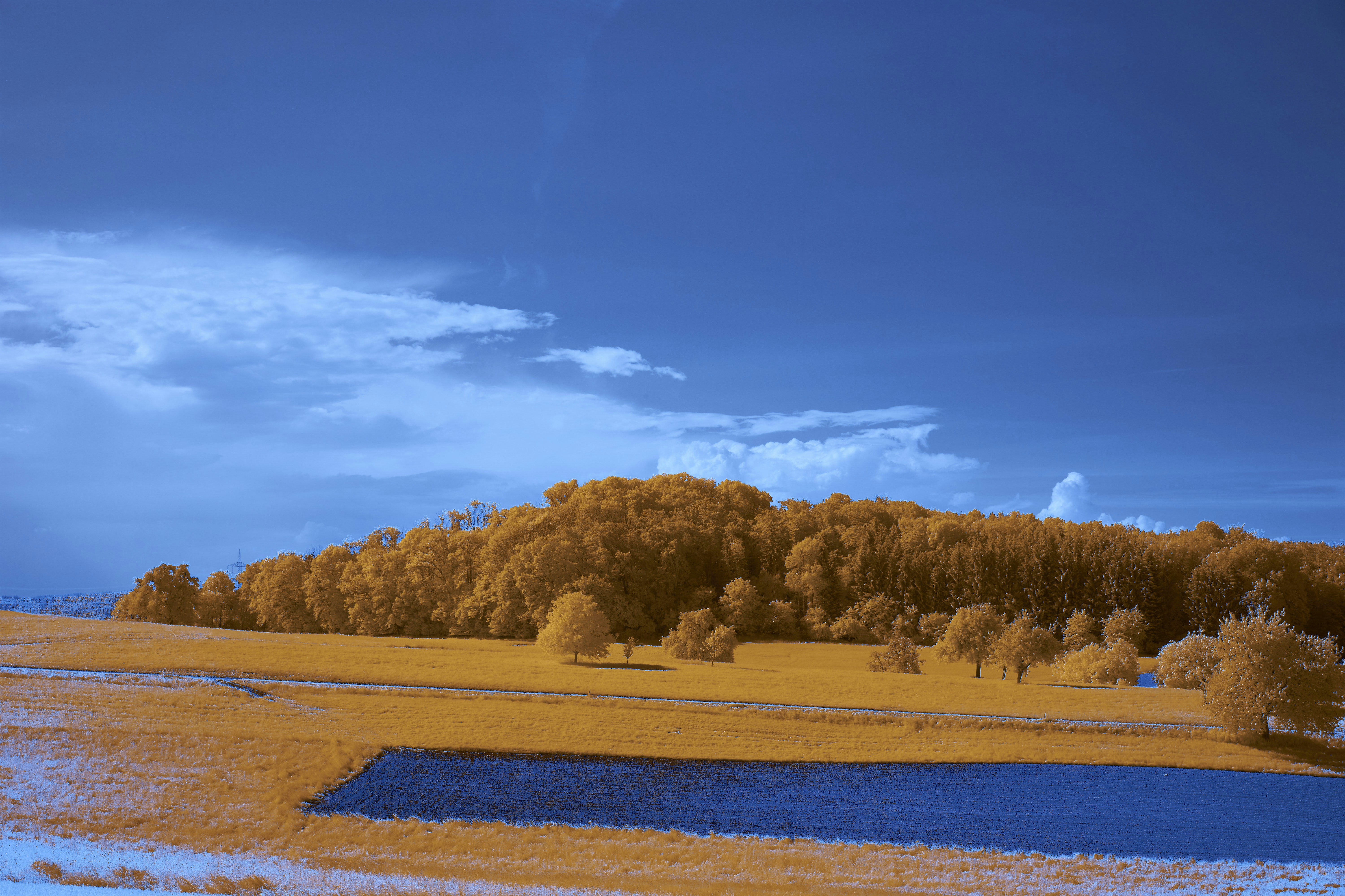 Photo by wolfgang_hasselmann