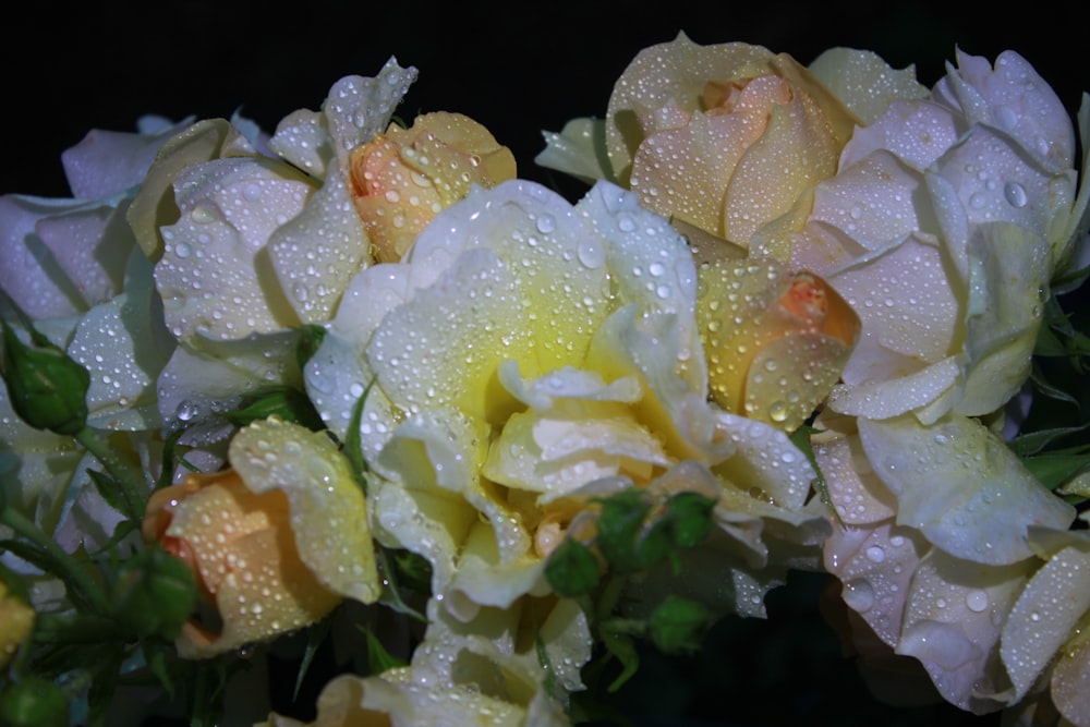 a close up of a salad