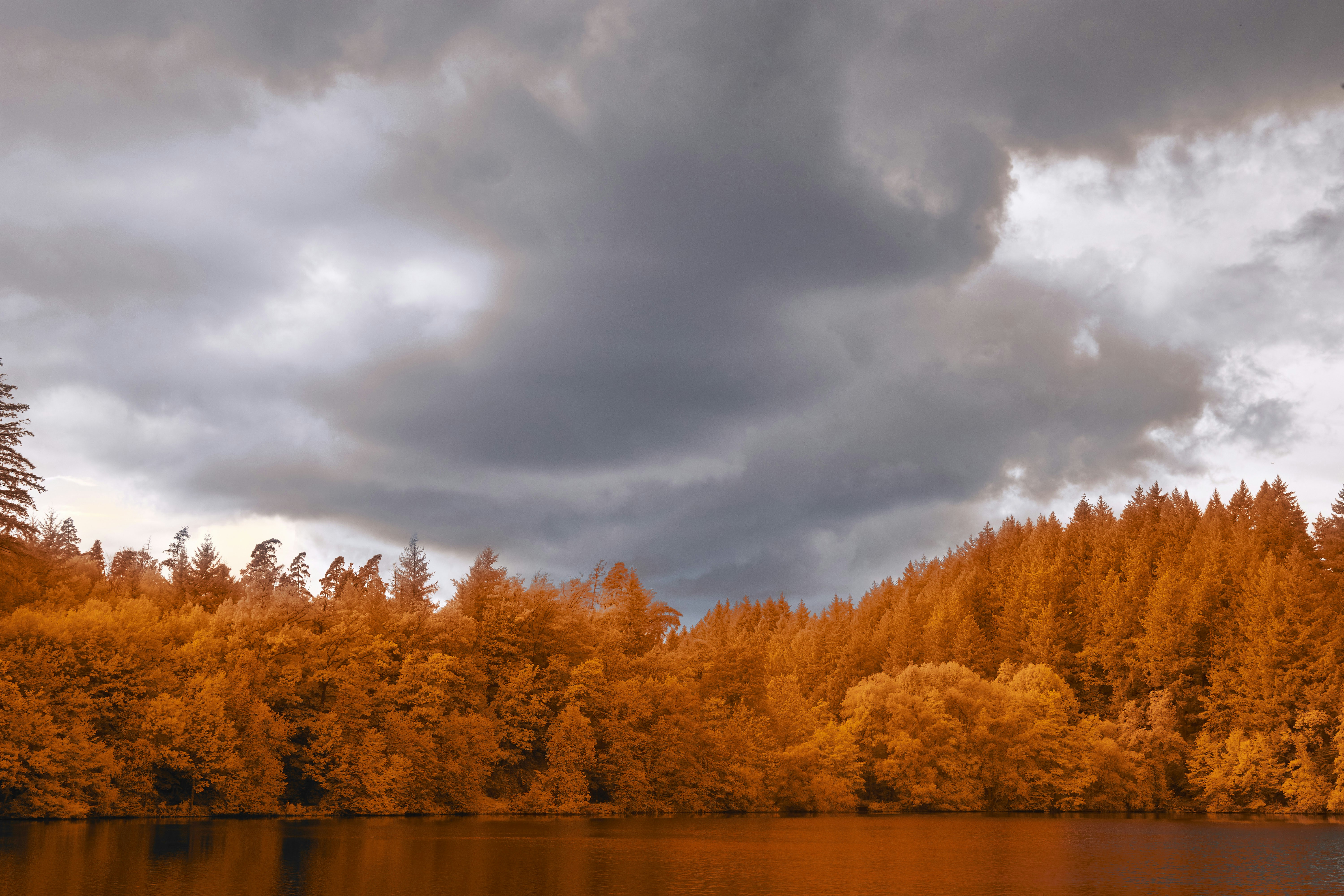 Photo by wolfgang_hasselmann