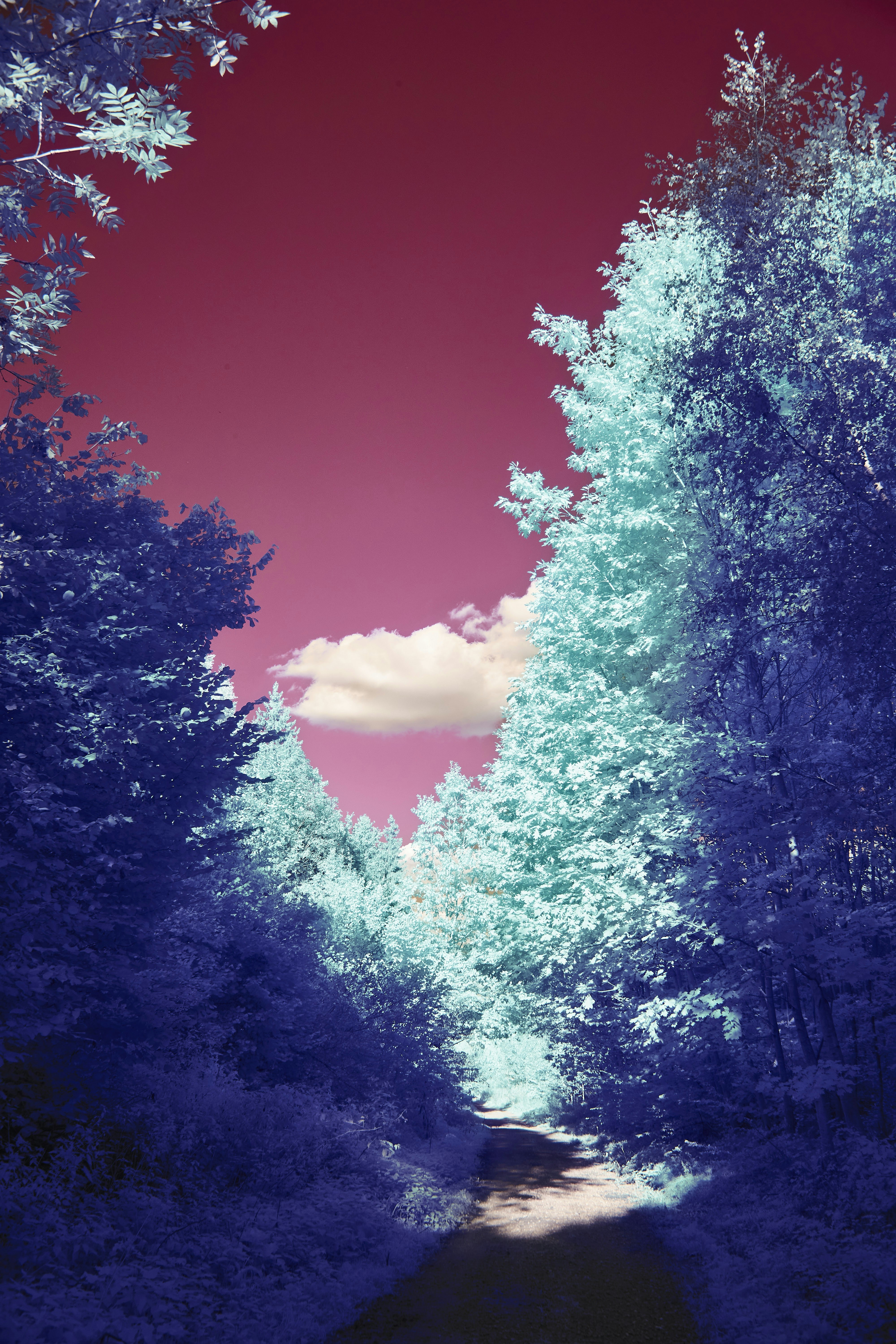 Photo by wolfgang_hasselmann