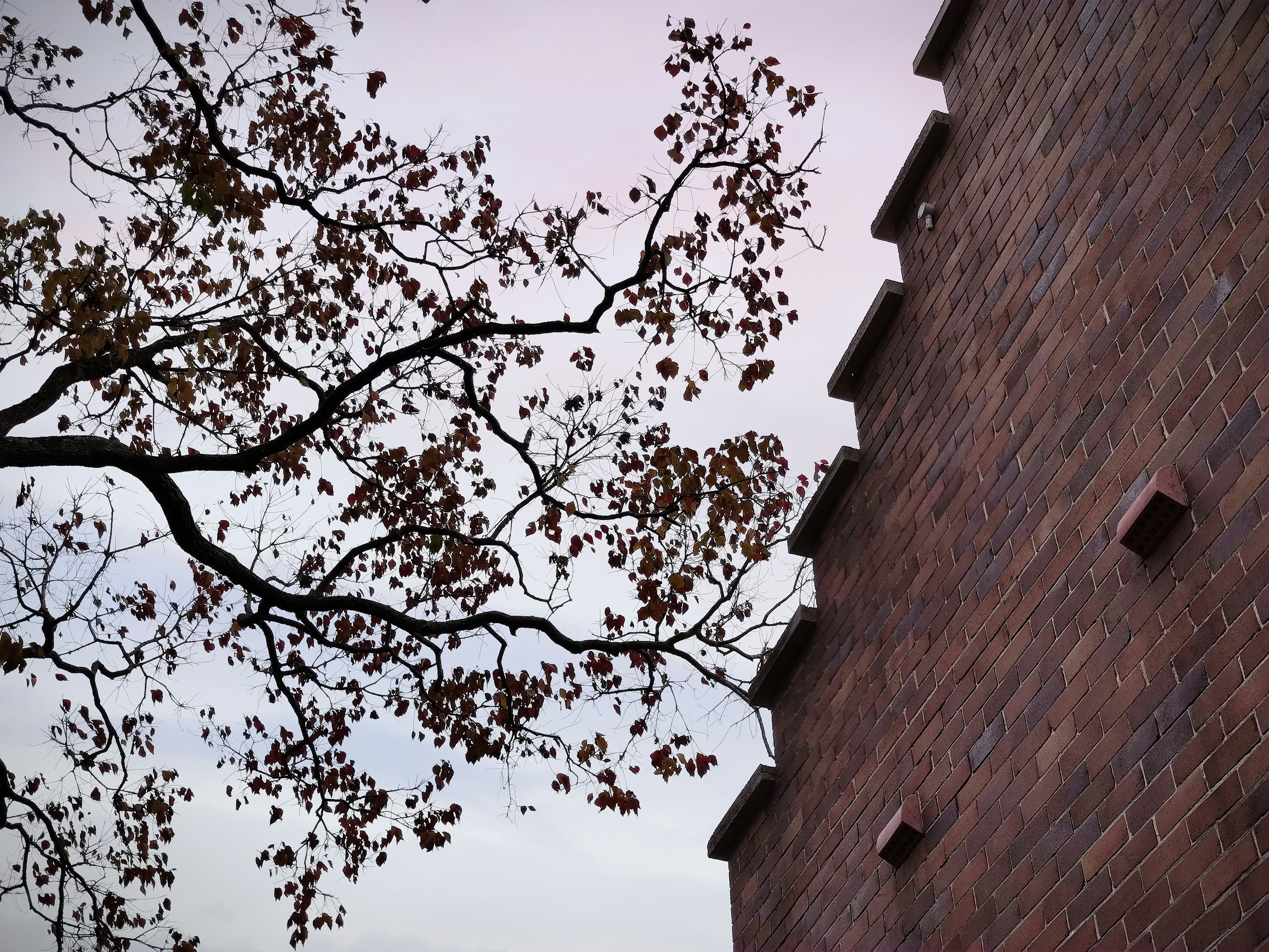 Wahroonga, New South Wales