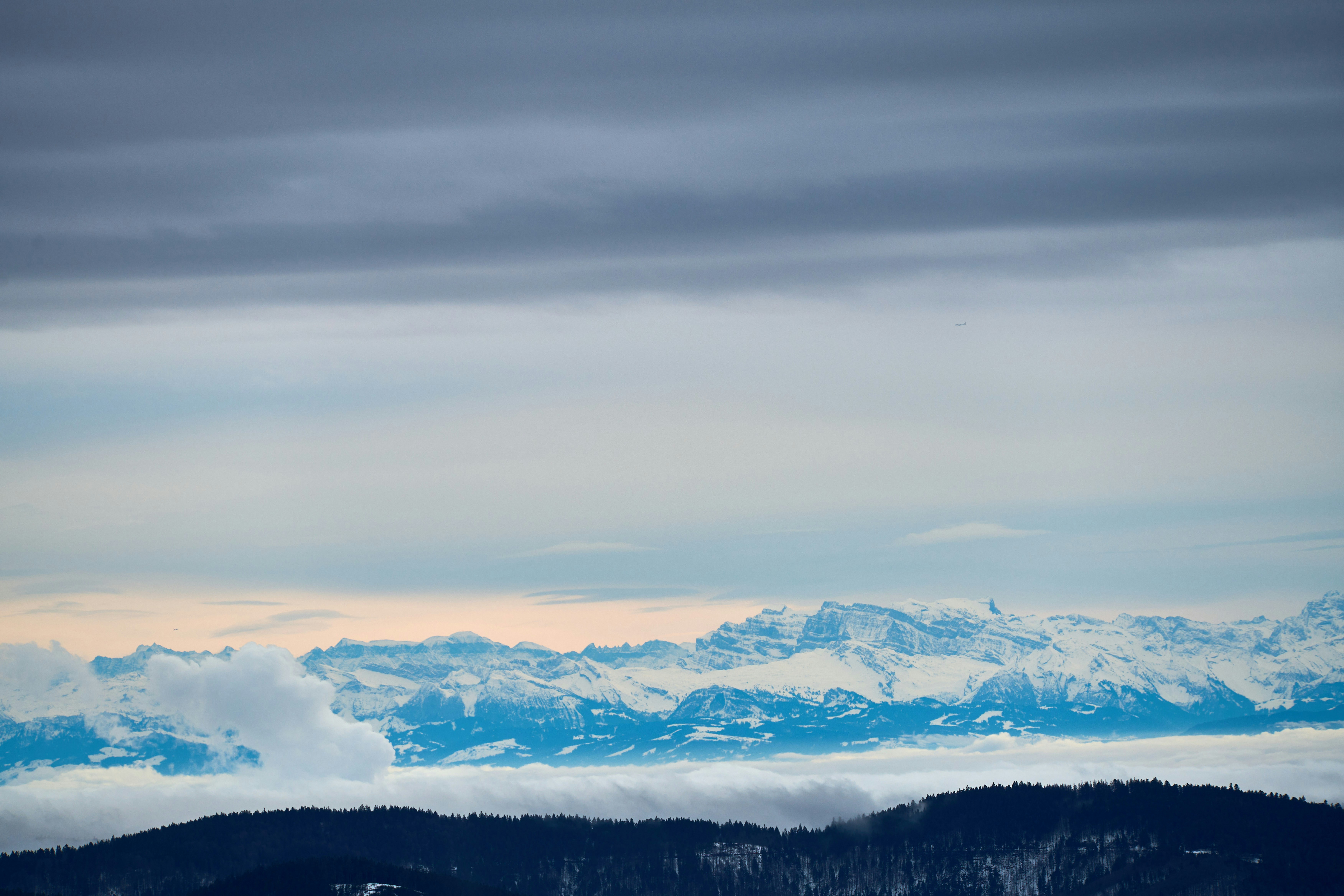 Photo by wolfgang_hasselmann