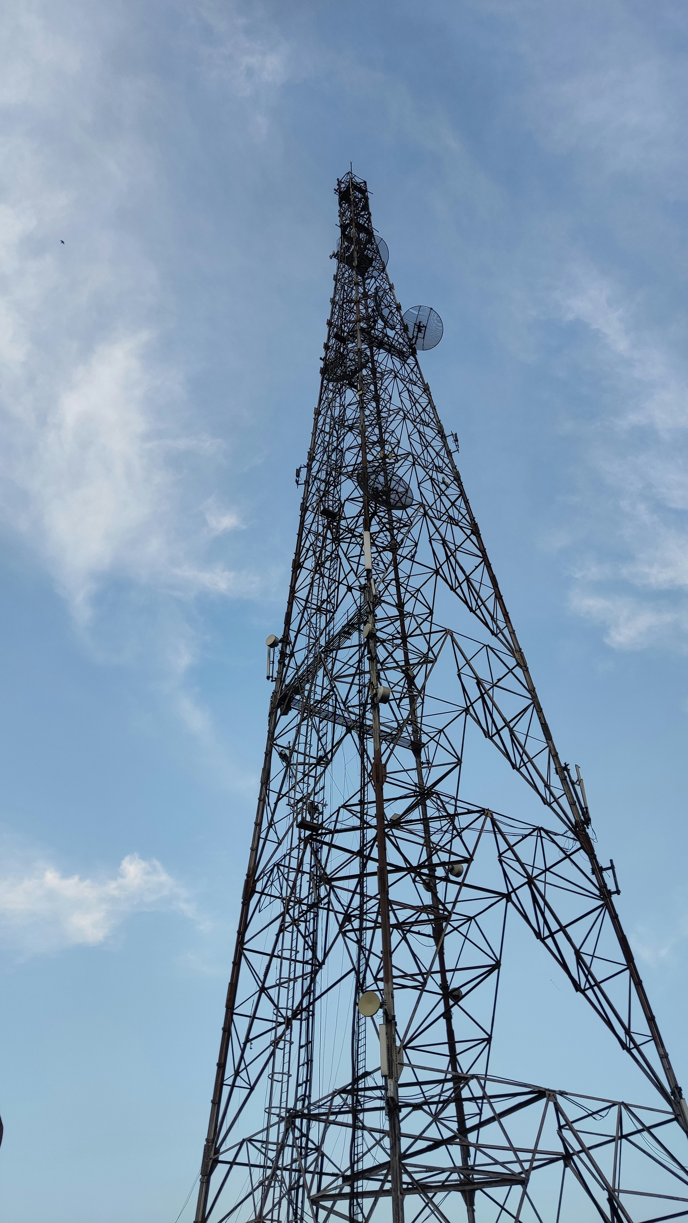 Photo by monteverdilamento