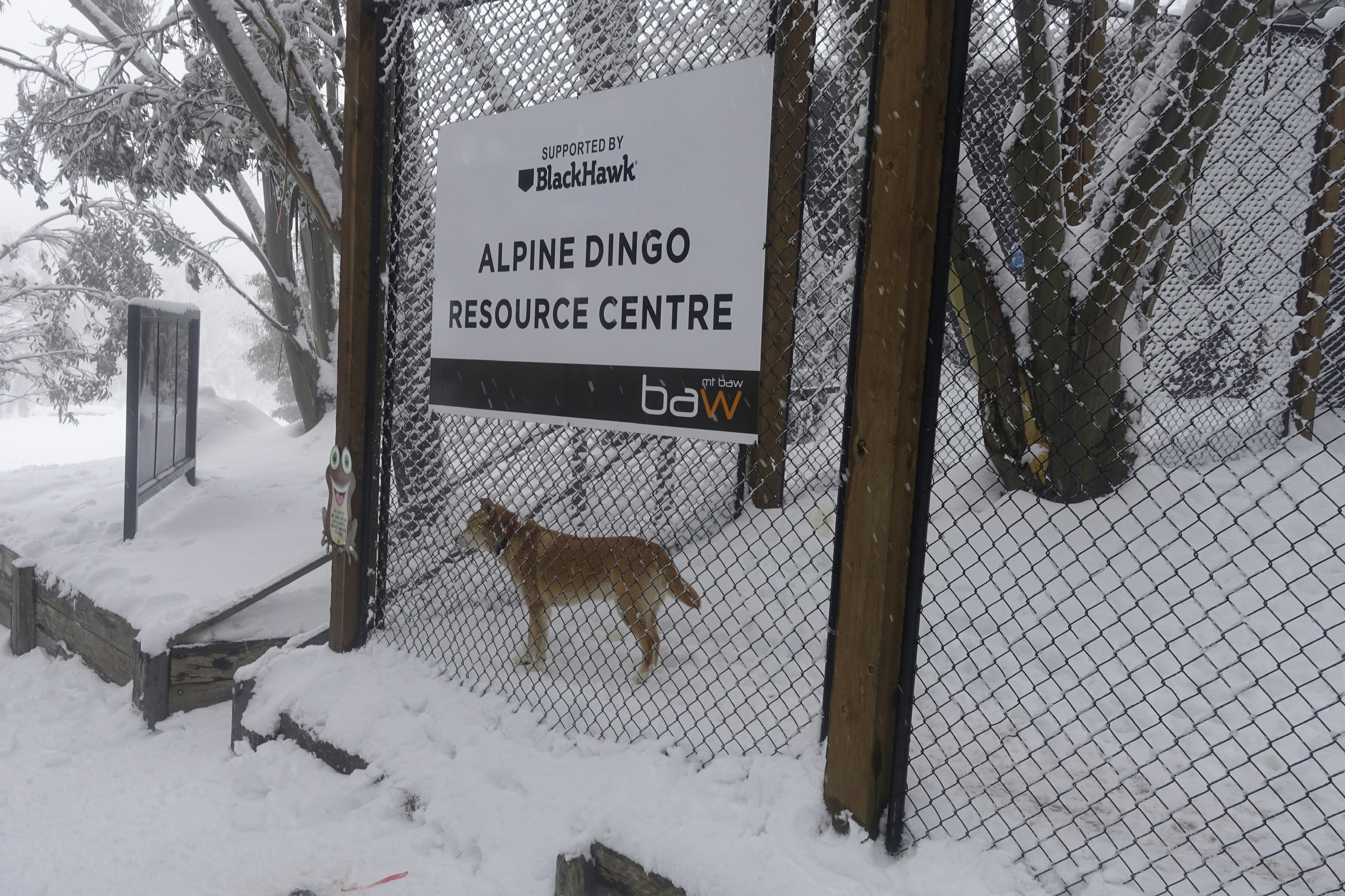 a dog standing next to a sign