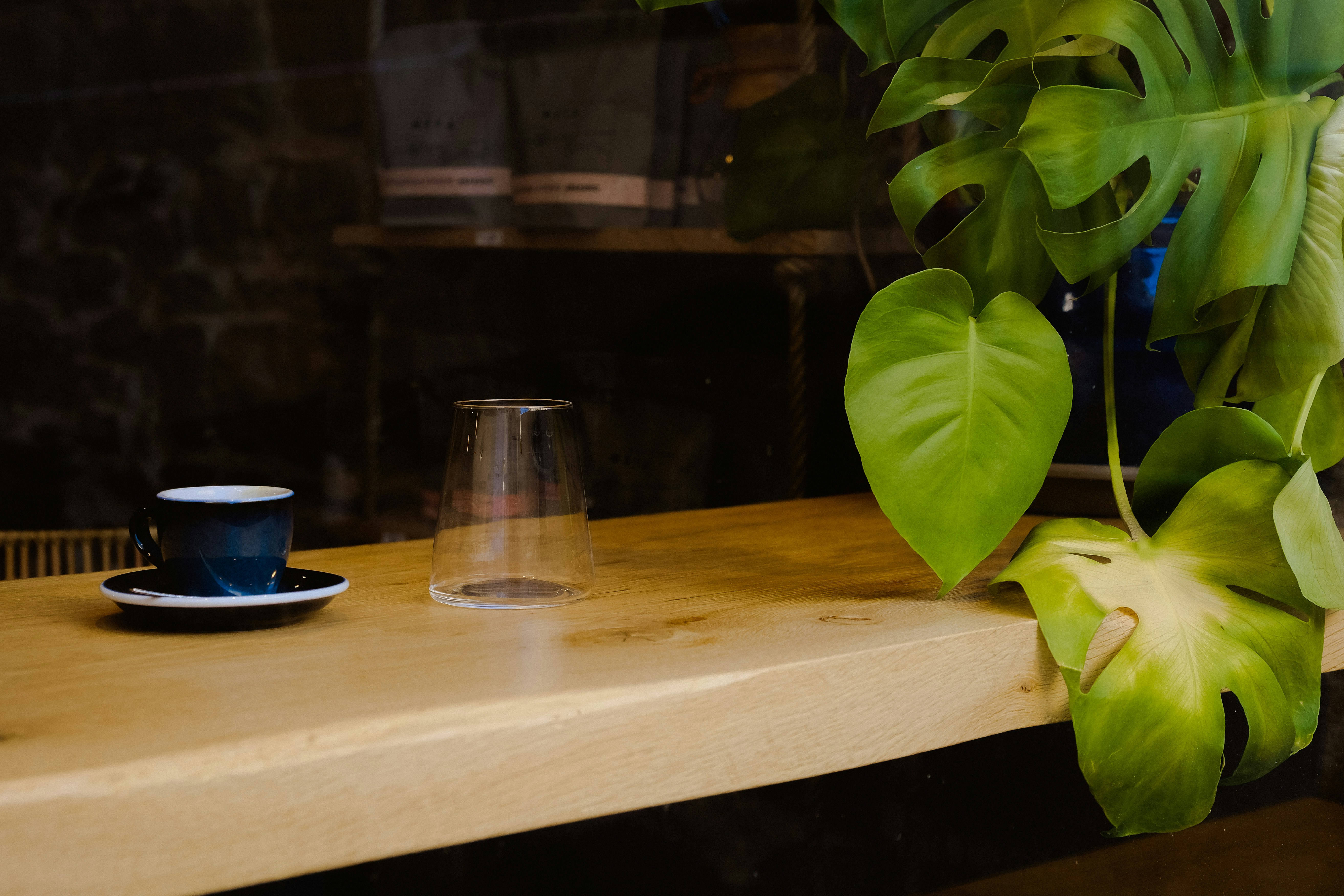 a glass of water next to a plant on a table