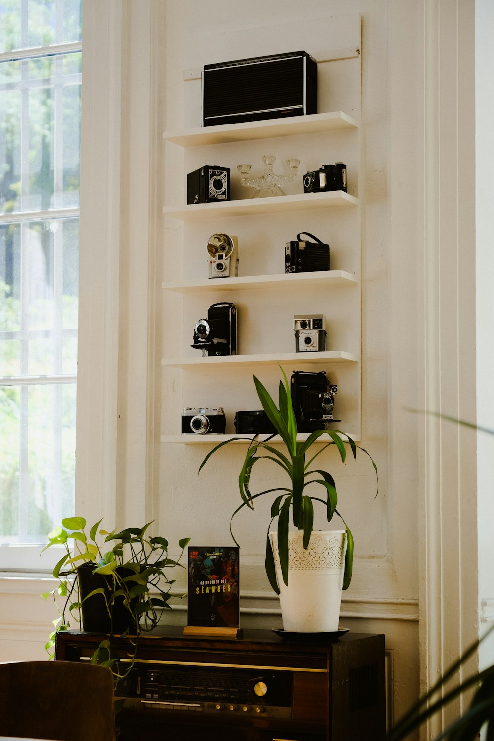 a white shelving unit with a plant and a potted plant