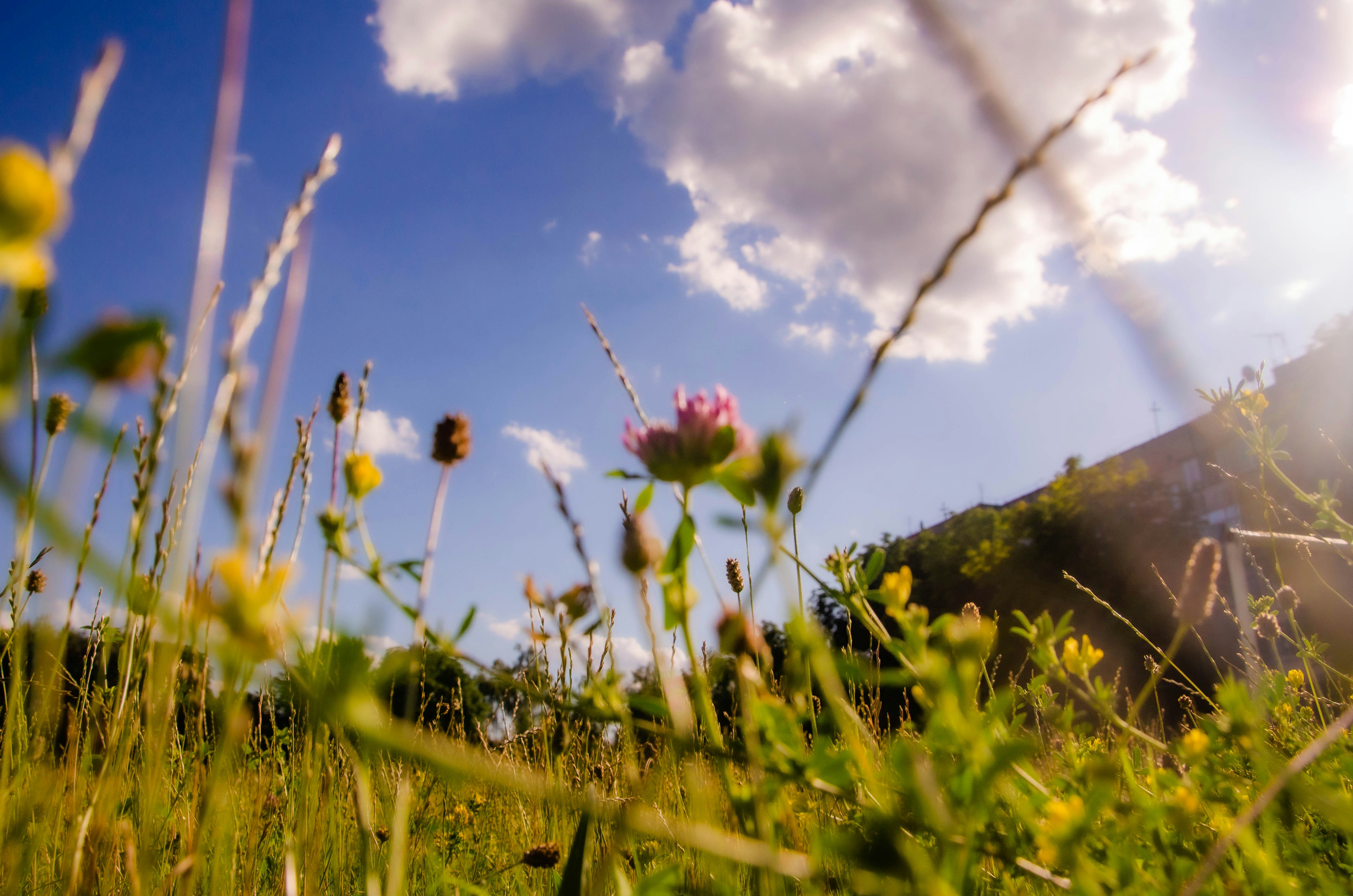 Photo by _florens_spenser_