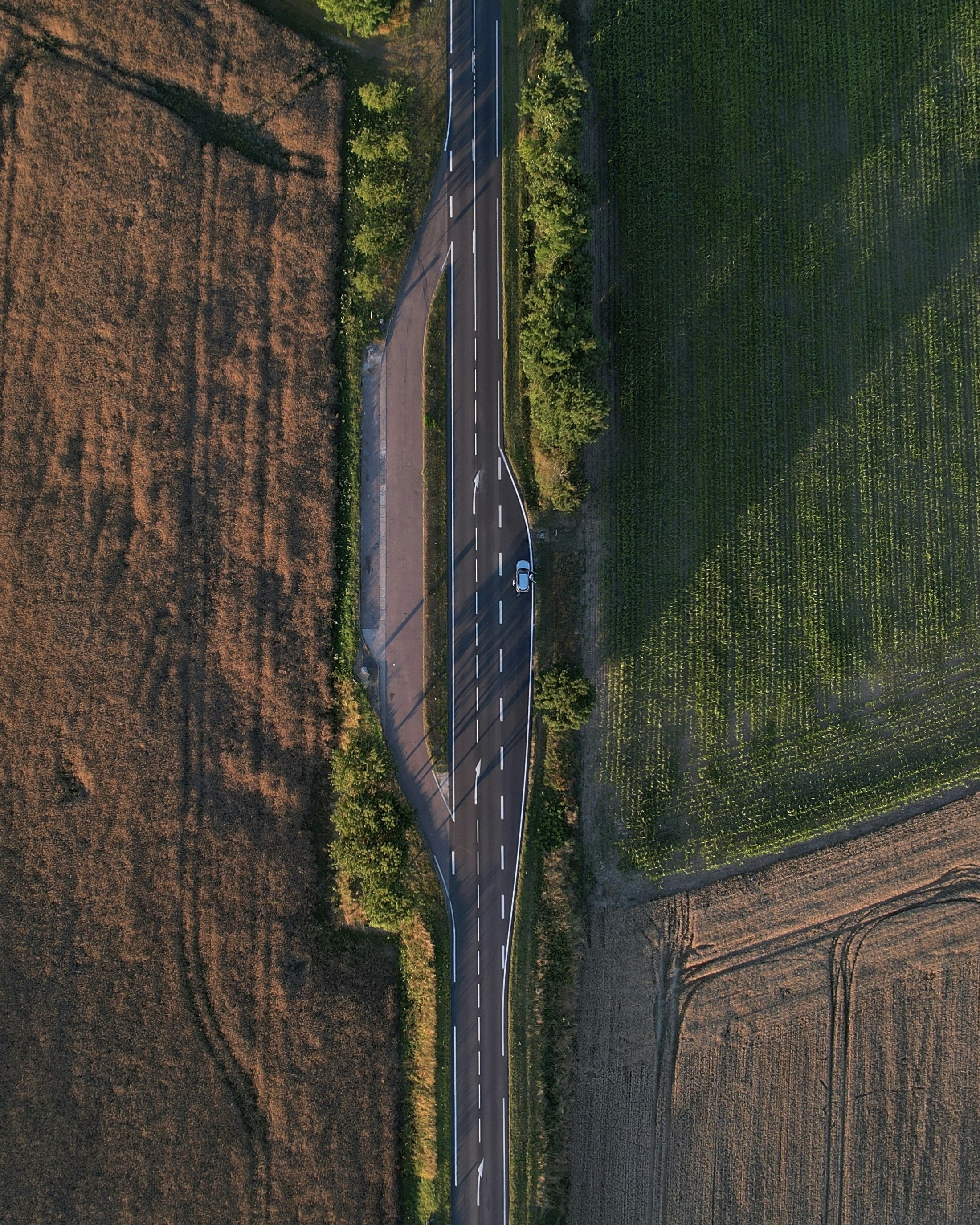 Photo by mortezakhalili