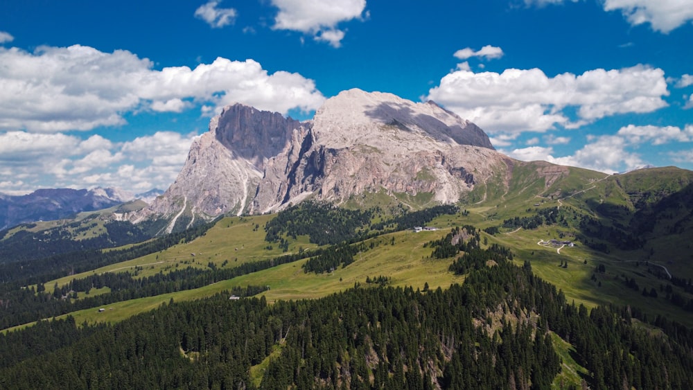 a mountain with trees and grass