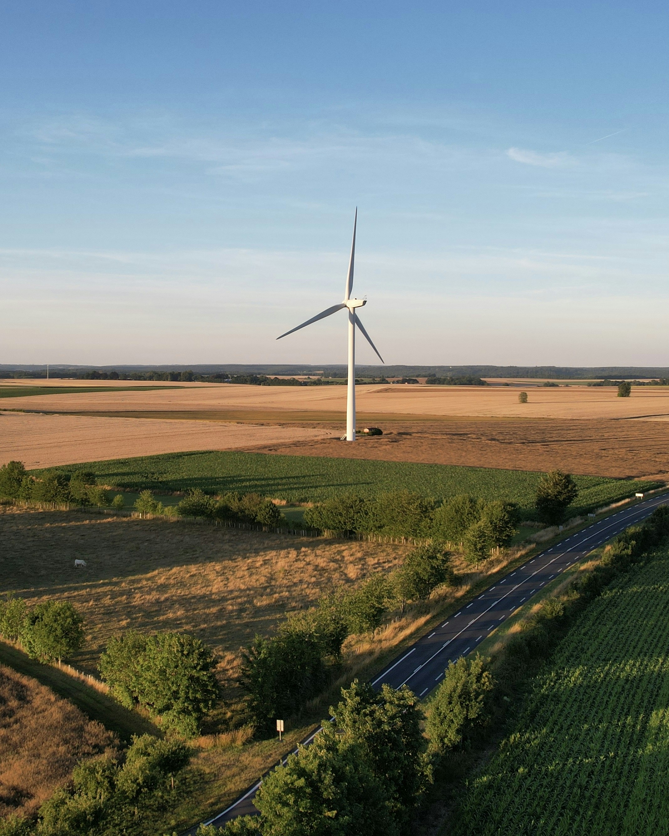 Un mulino a vento in un campo