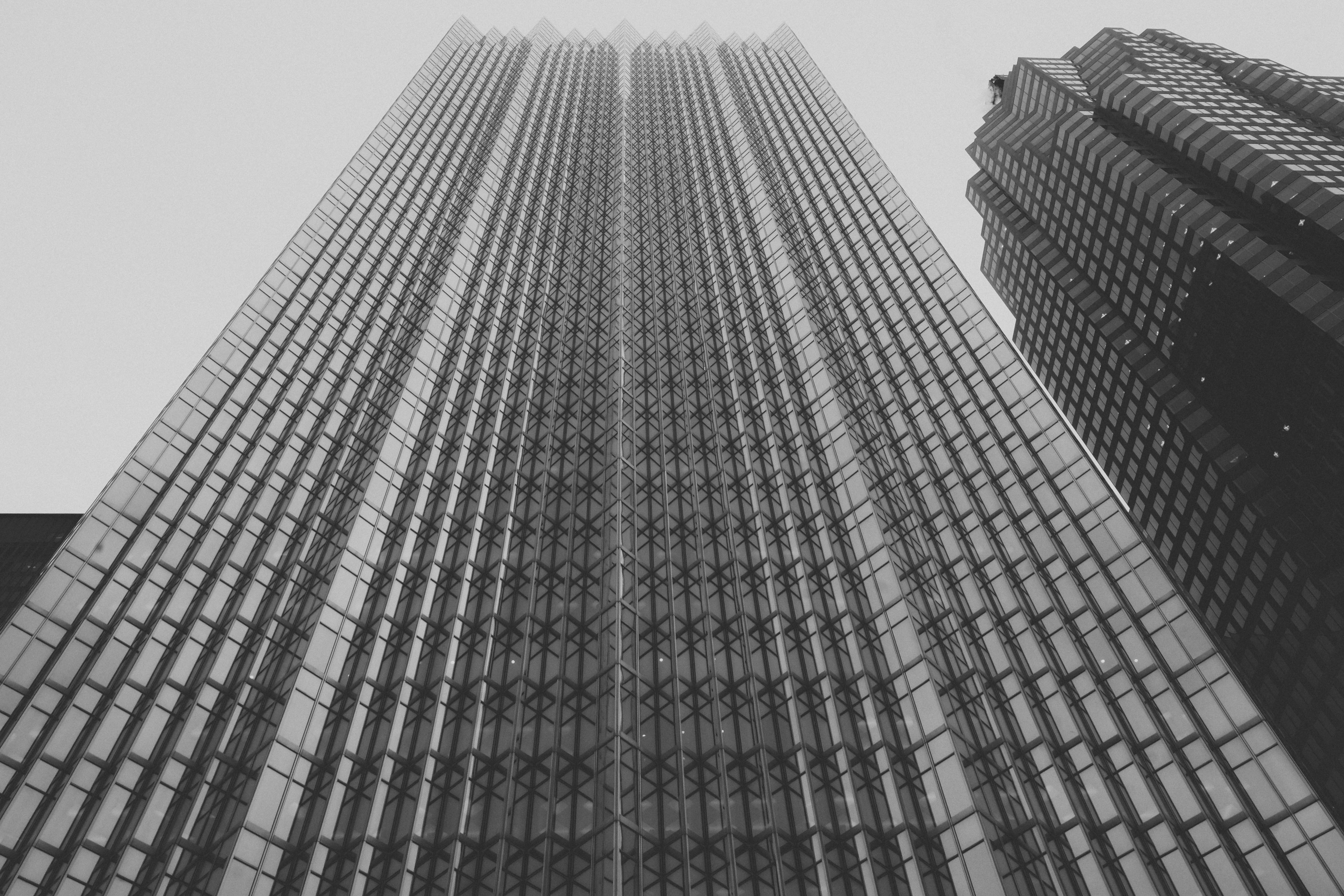 Photo by yohannlibot