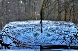 A shiny, newly replaced windshield reflecting the clear blue sky on a sunny day.