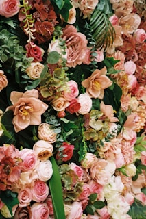 a bouquet of flowers