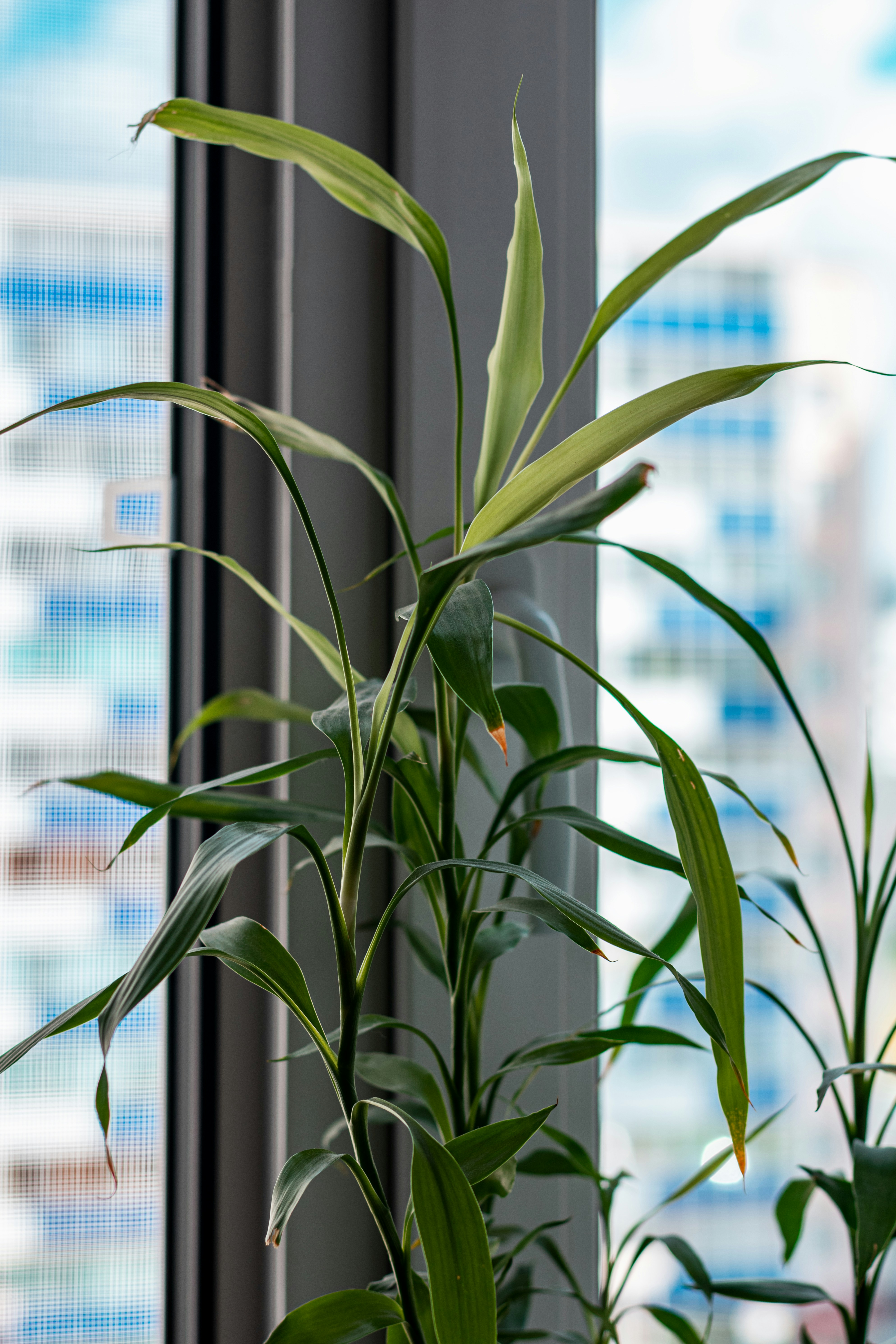 Photo by therealslkhv