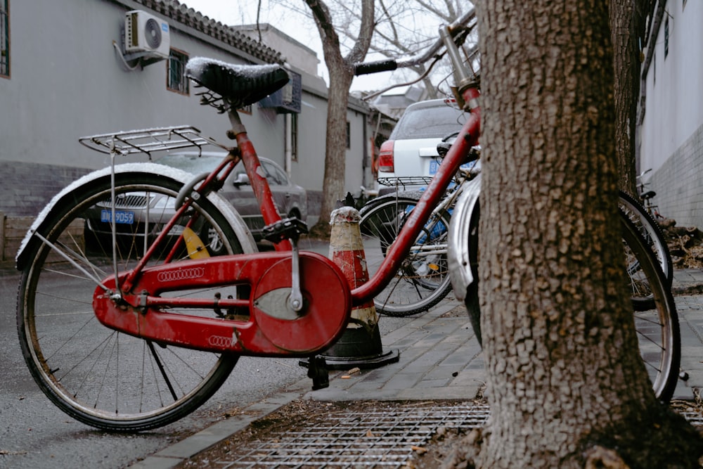 bicycles parked by a tree