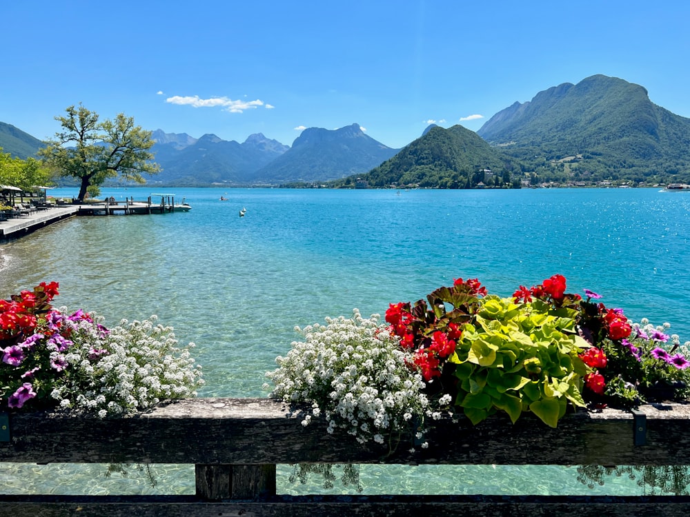 flowers on a bench by a body of water