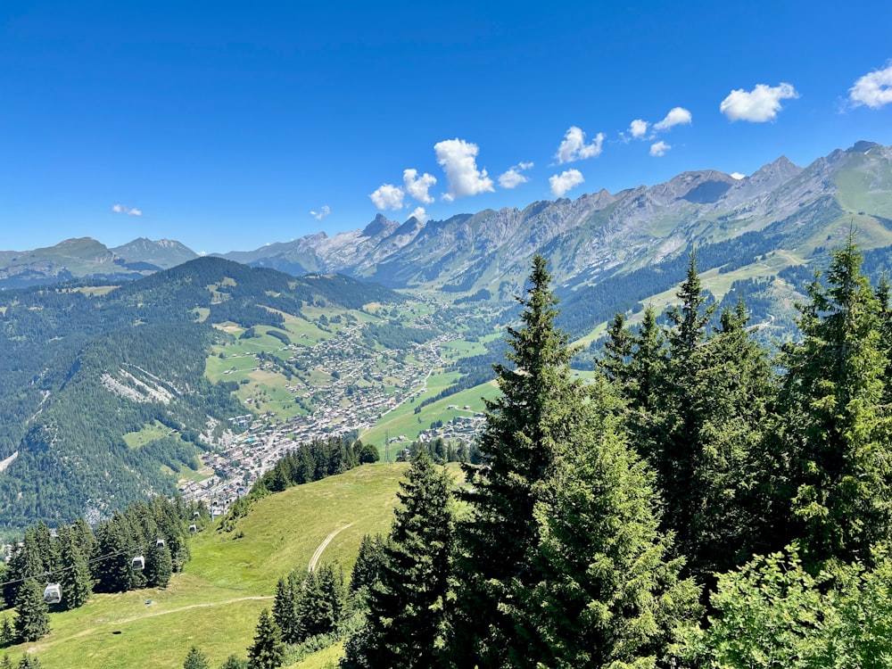 a landscape with trees and mountains in the background