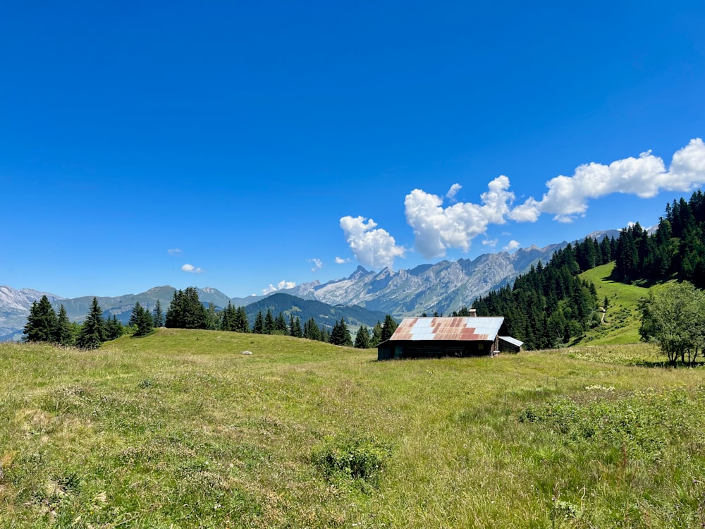 a house in a grassy field with mountains in the background