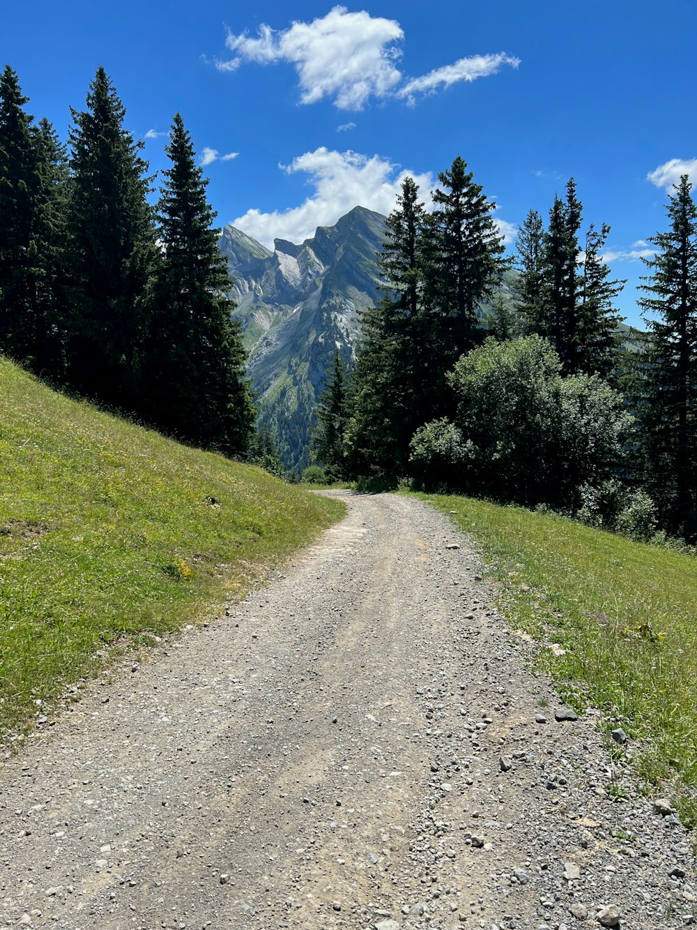 a dirt road with trees and mountains in the background