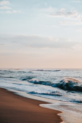 A gentle ocean wave rolling onto a sandy shore under a pastel sky.