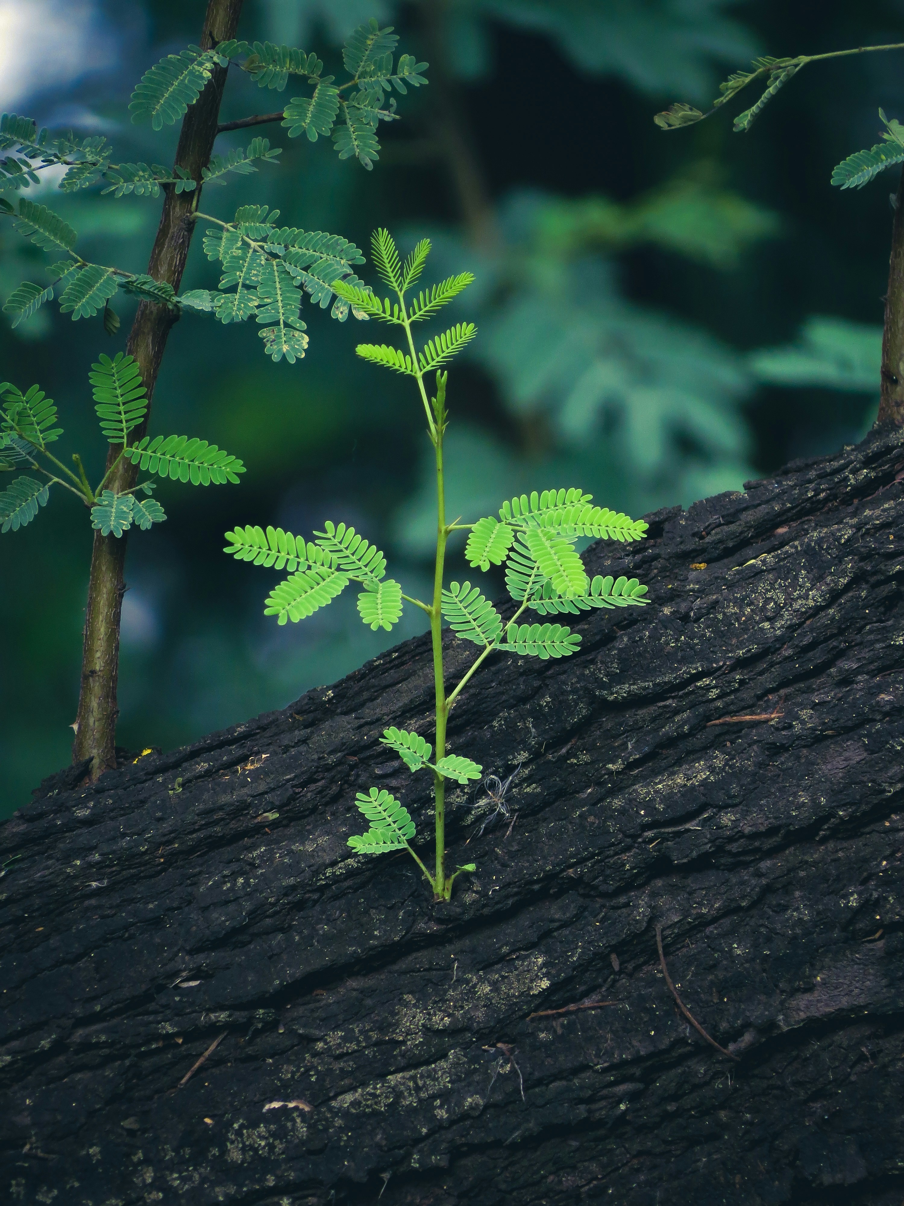 Photo by anandramavath_786