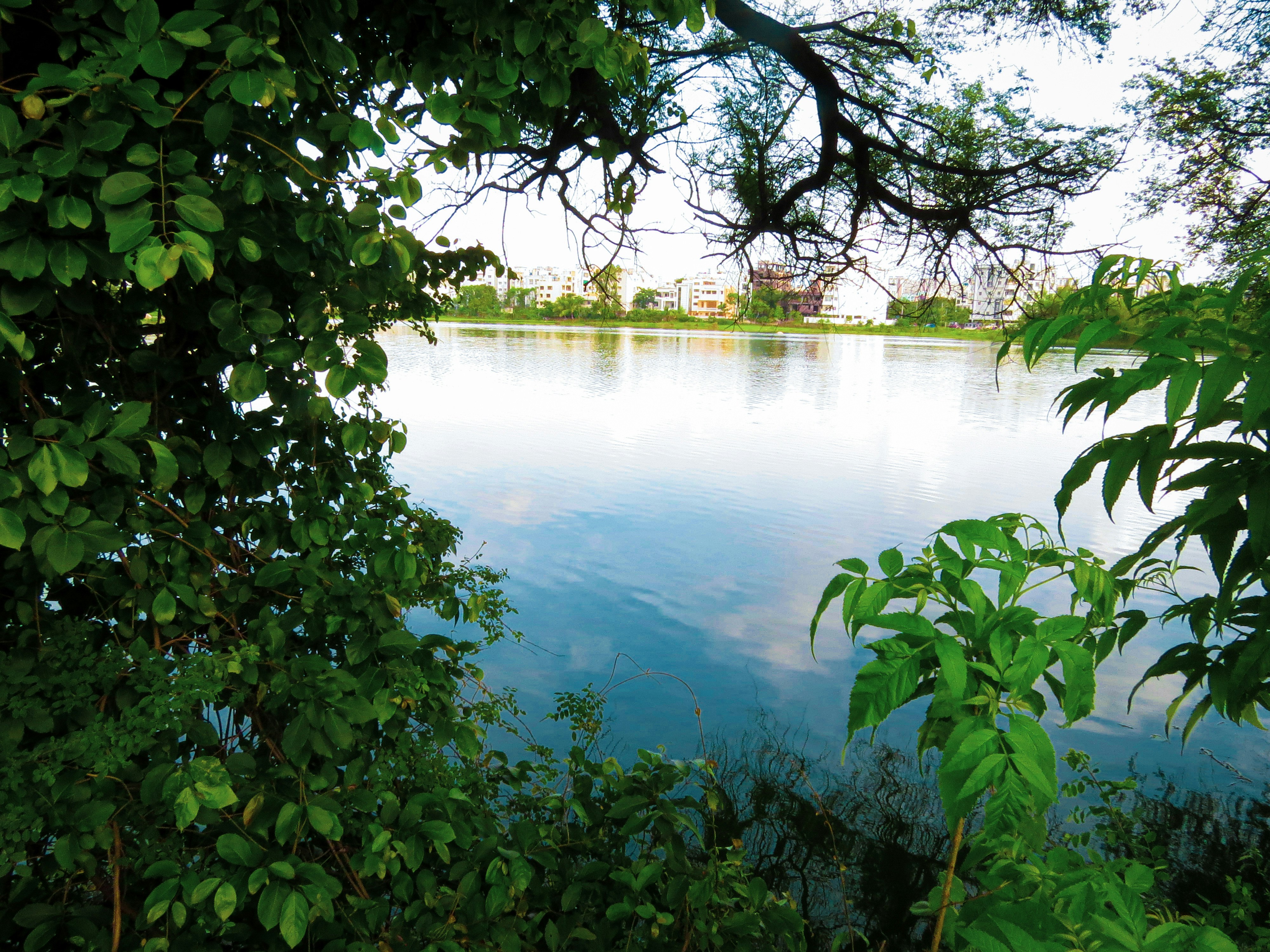 Photo by anandramavath_786