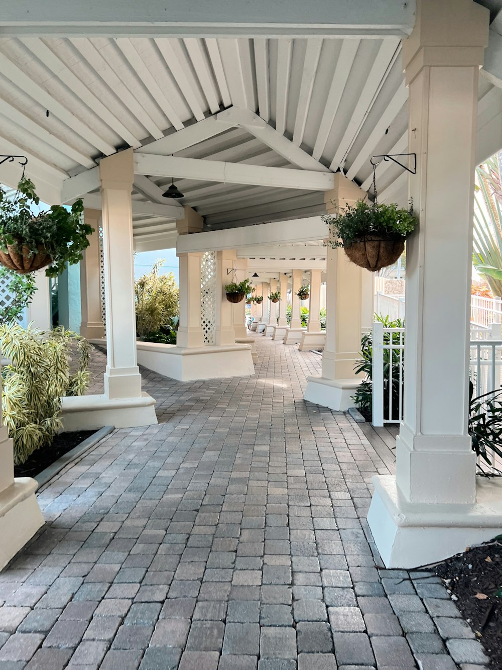 a walkway with white pillars and plants