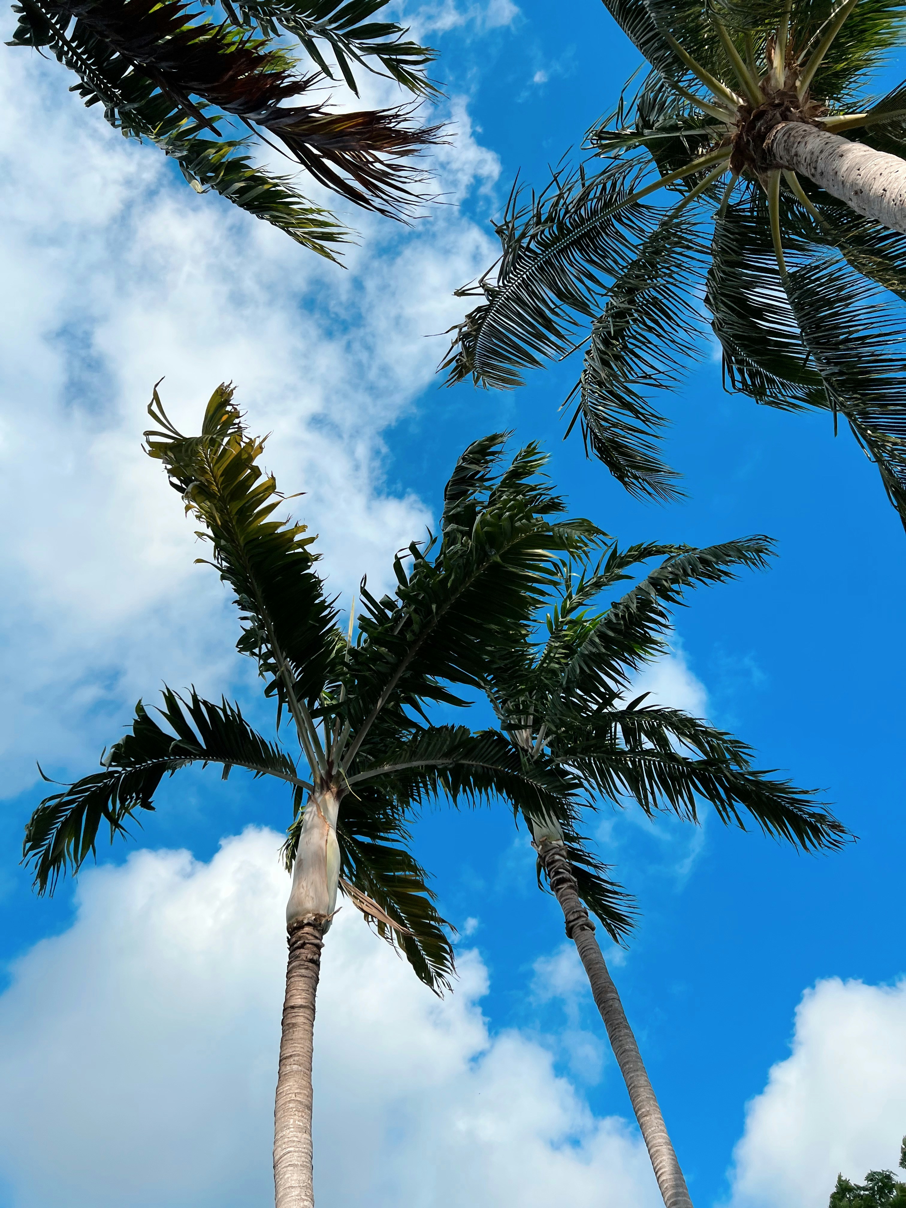 Photo by courtneypickens