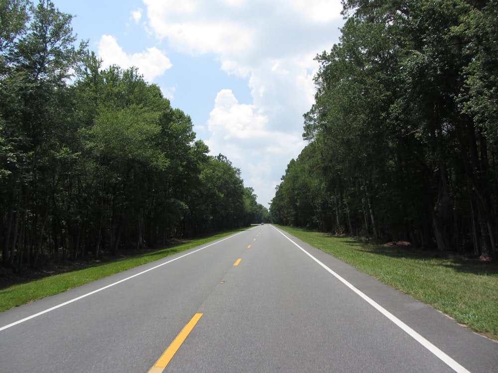 a road with trees on the side