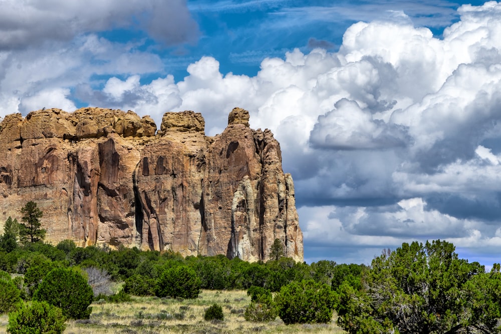 a rocky mountain with trees below