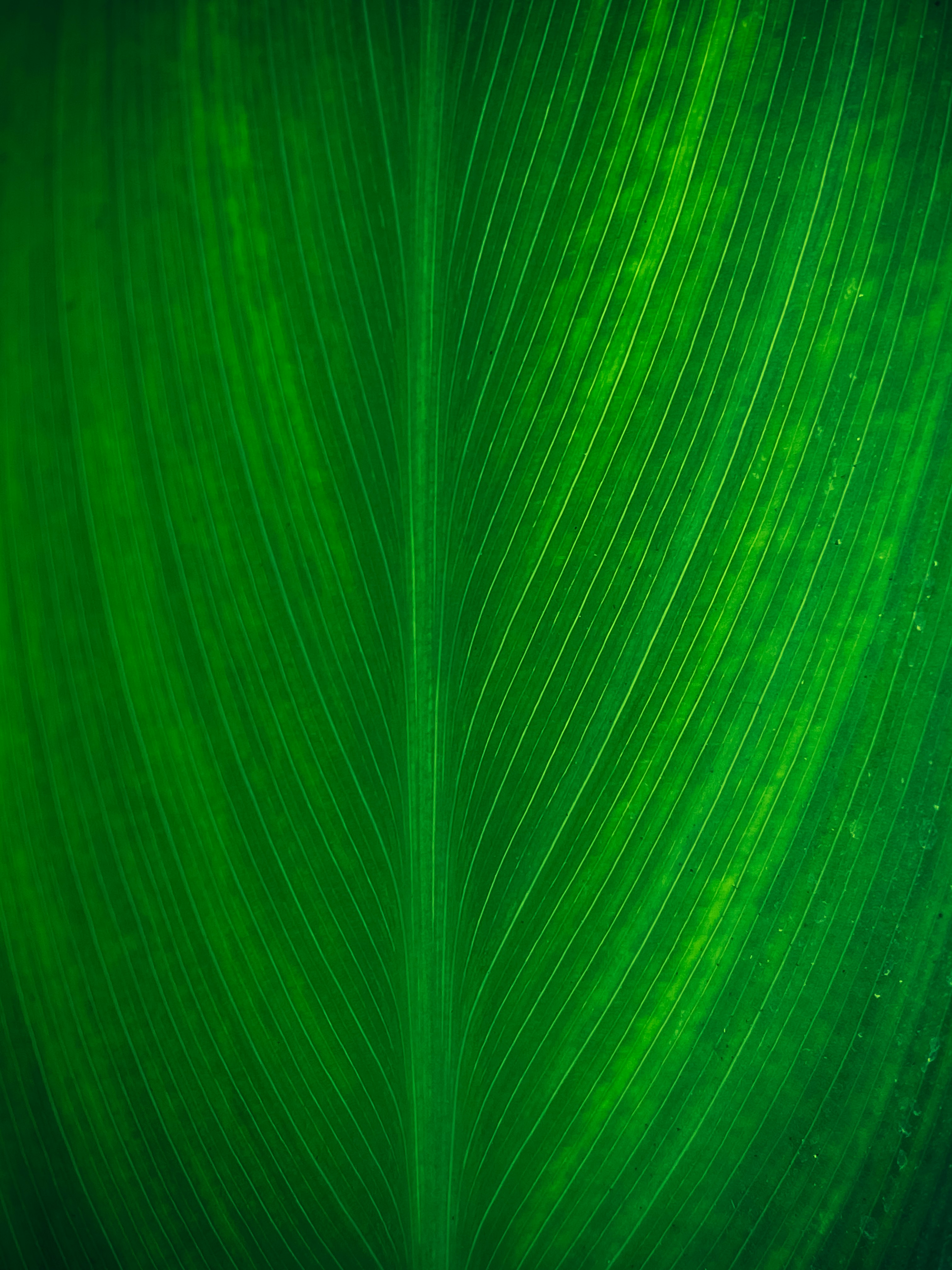 Photo by titouhwayne