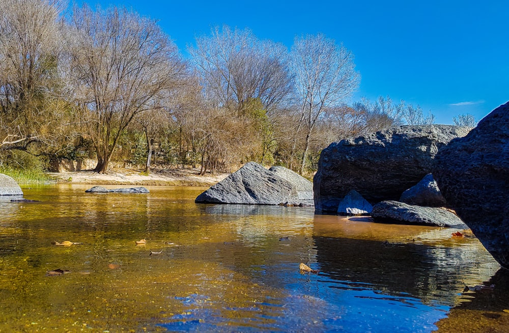 a body of water with rocks and trees around it