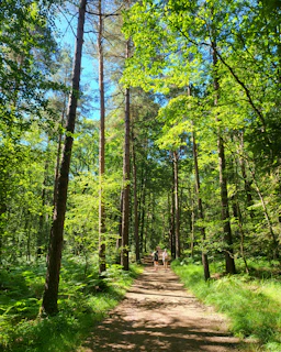 conciergerie paimpont